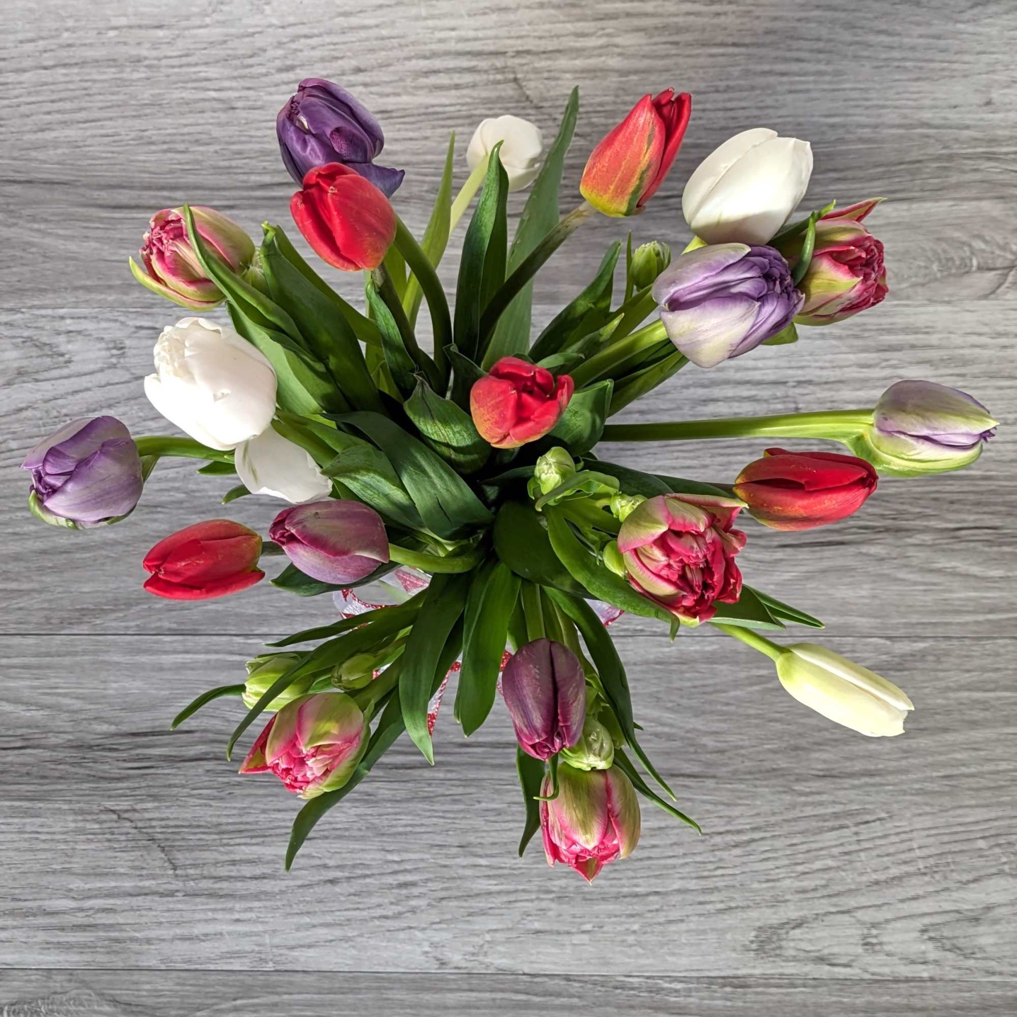 Two-Lips is the perfect bouquet for the tulip lover in your life.