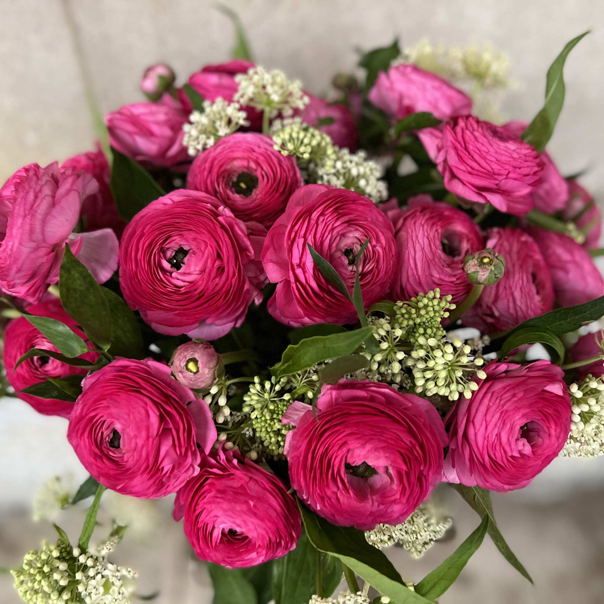 This elegant arrangement, complemented by swirling premium ranunculos , soft and subtle