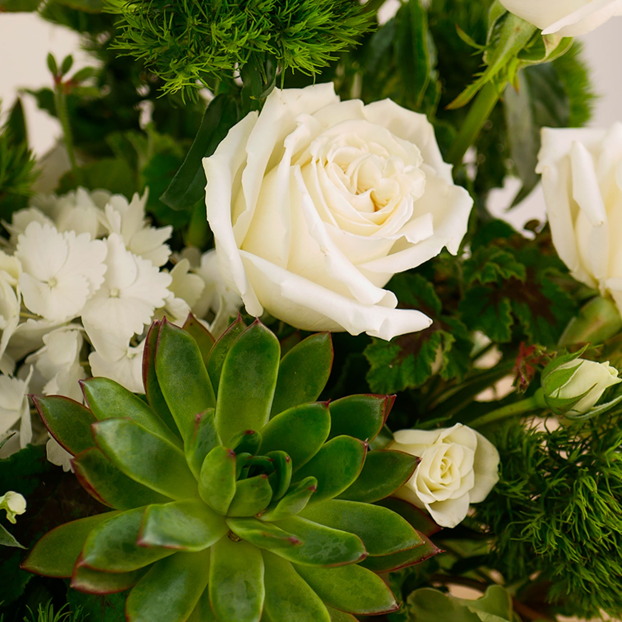 This flower arrangement features an artistic combination of delicate white blossoms such