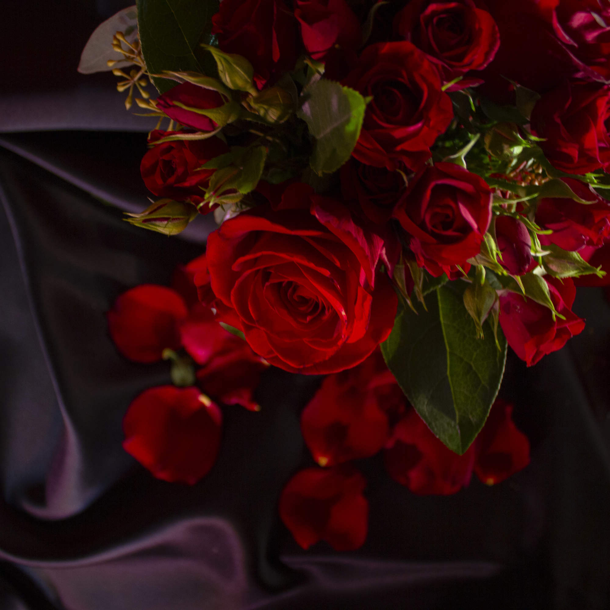 Adorable, romantic, and petite tussy mussy of Sexy Red Roses, and petite