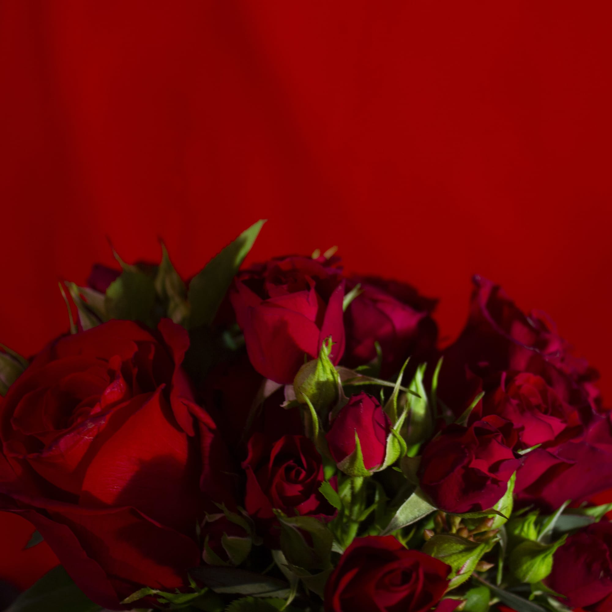 Adorable, romantic, and petite tussy mussy of Sexy Red Roses, and petite