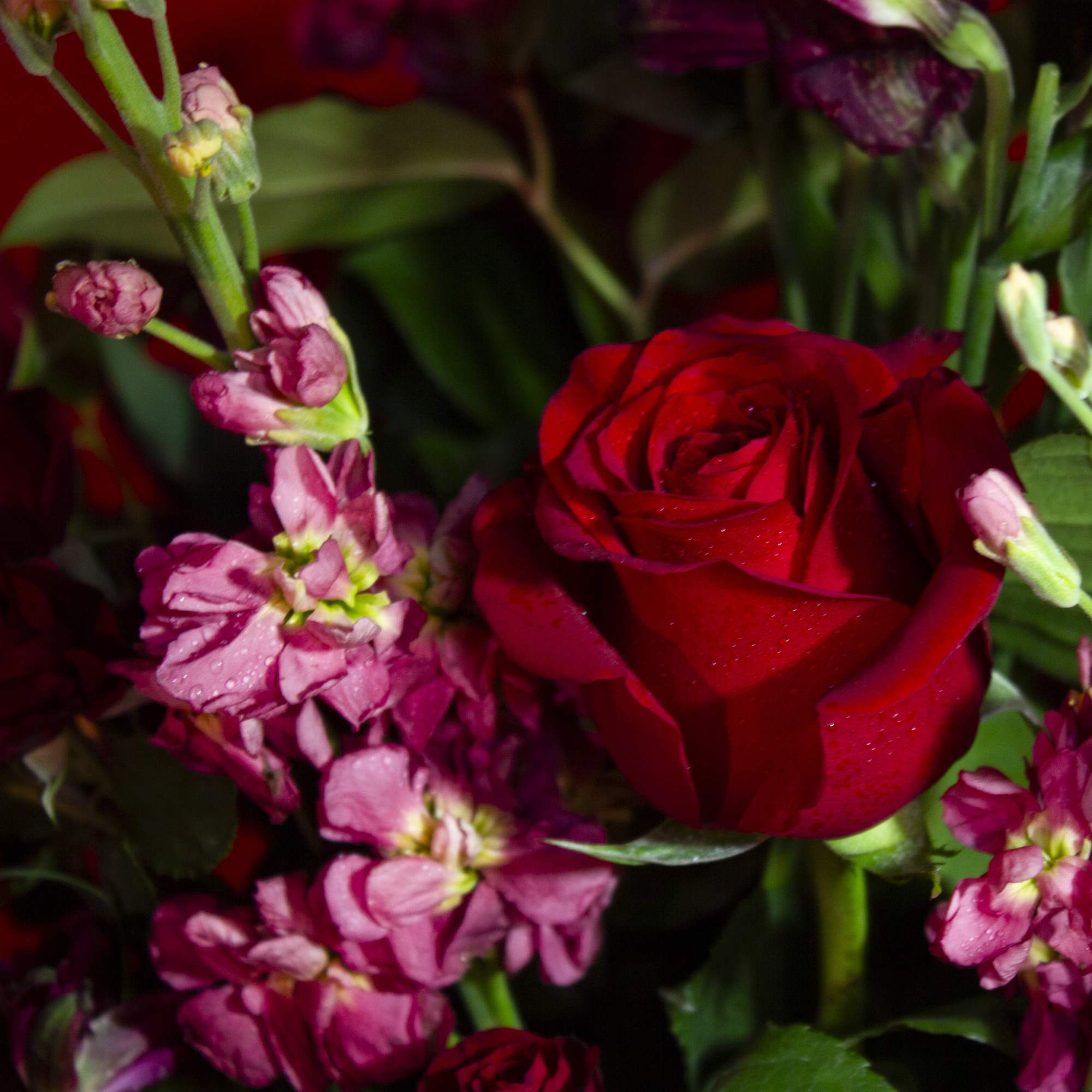 Send 12 Sexy Red roses, artfully arranged in a tall, slender glossy