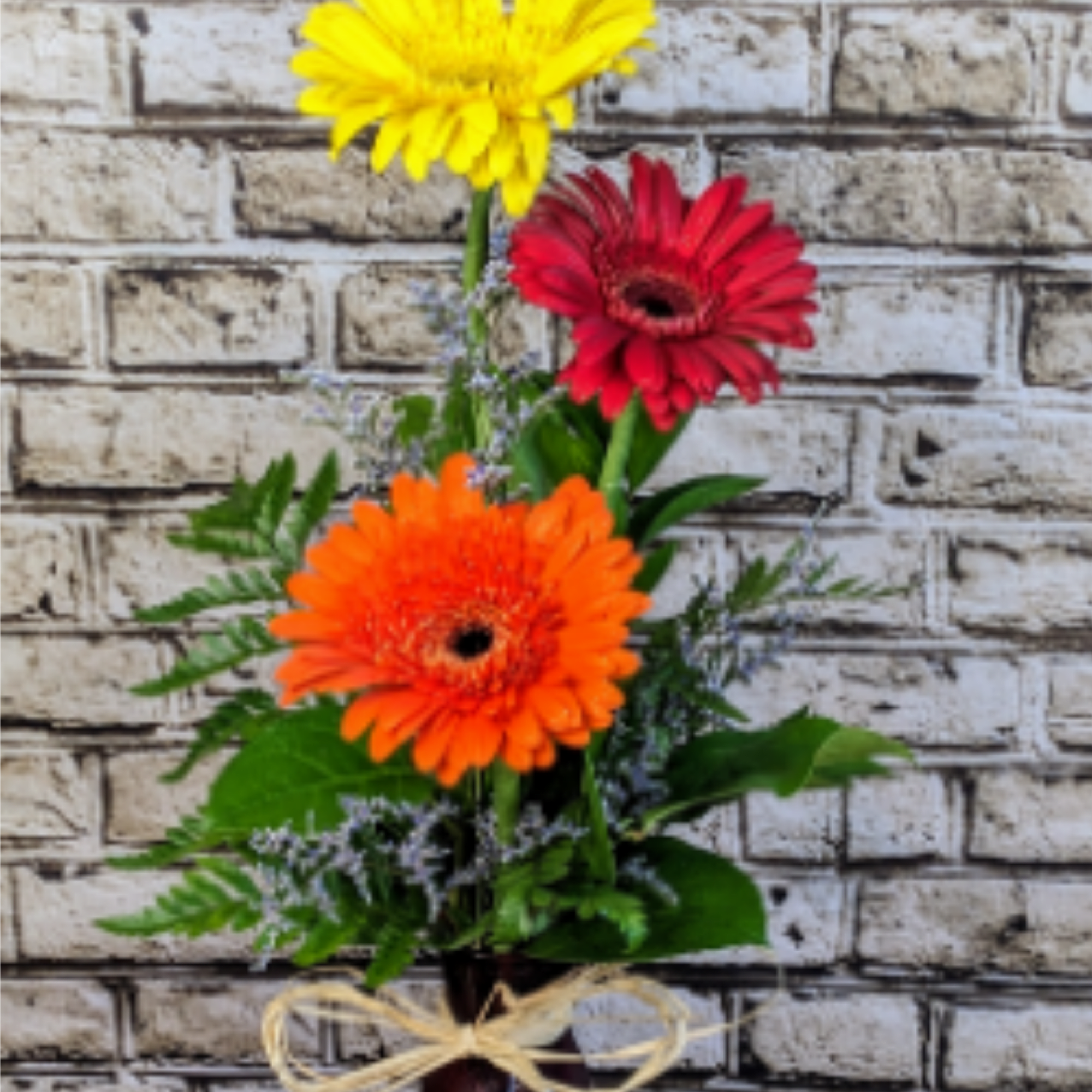 A fun assortment of the ever so popular Gerbera Daisy! This is