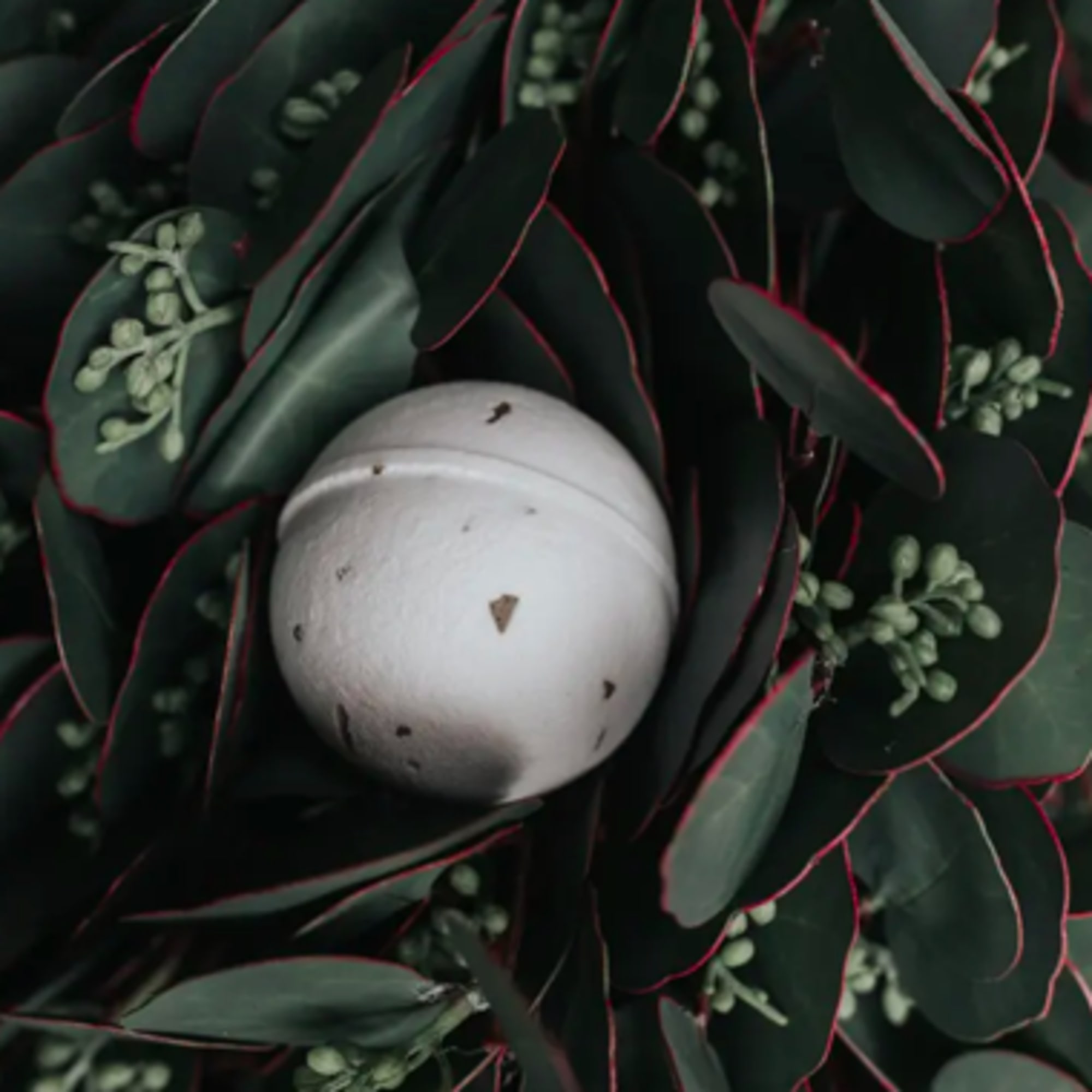 Fresh from the garden, this eucalyptus bath bomb will bring medicinal aroma
to