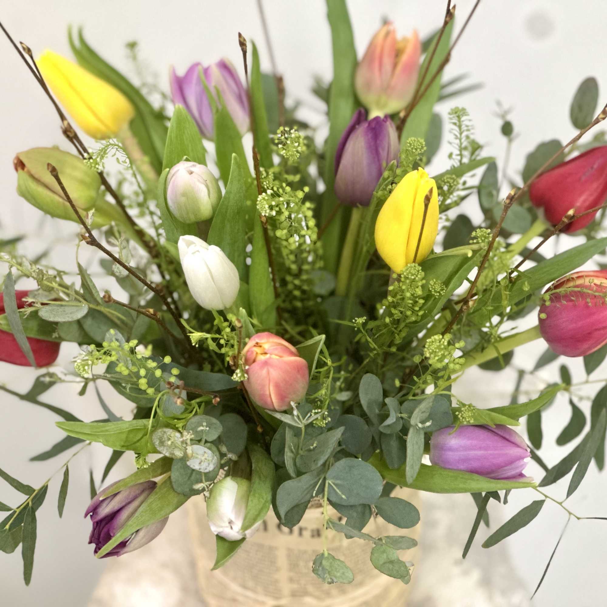 Spring has sprung and we've got the perfect treat for your eyes