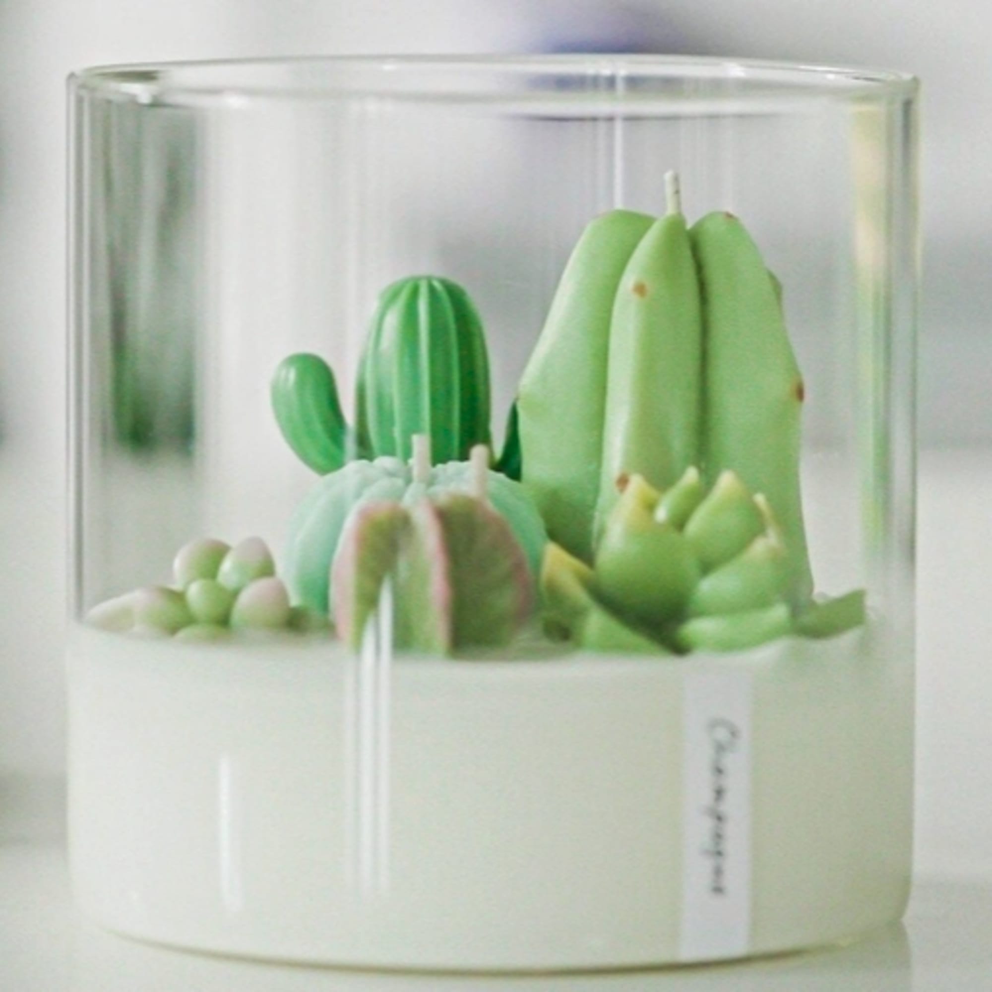 This cacti and succulent terrarium candle is a beautiful and fun gift