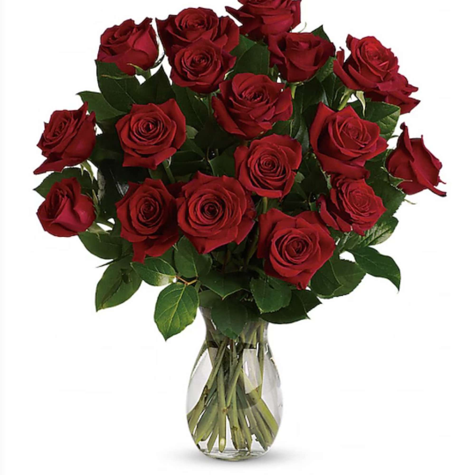 Elegant long stem roses available in 12, 18, and 24 count arrangements