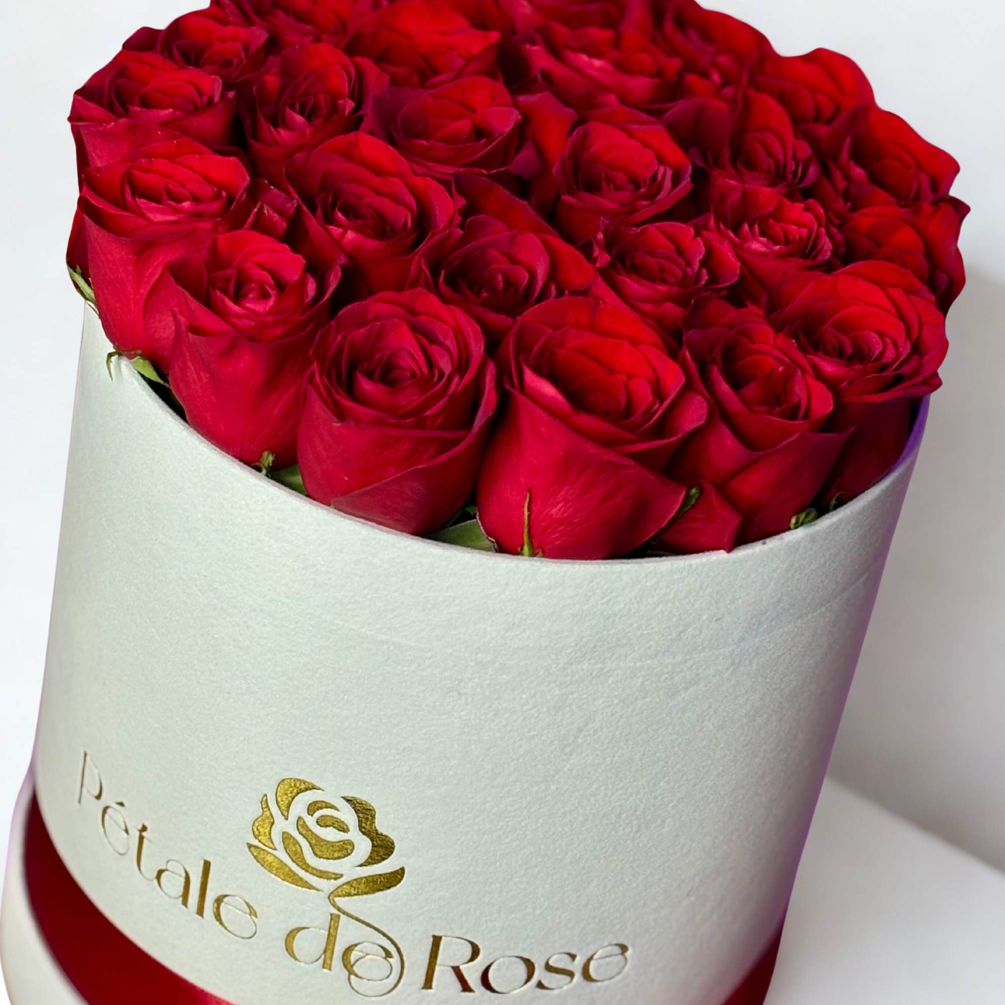 Enjoy our most lovely roses