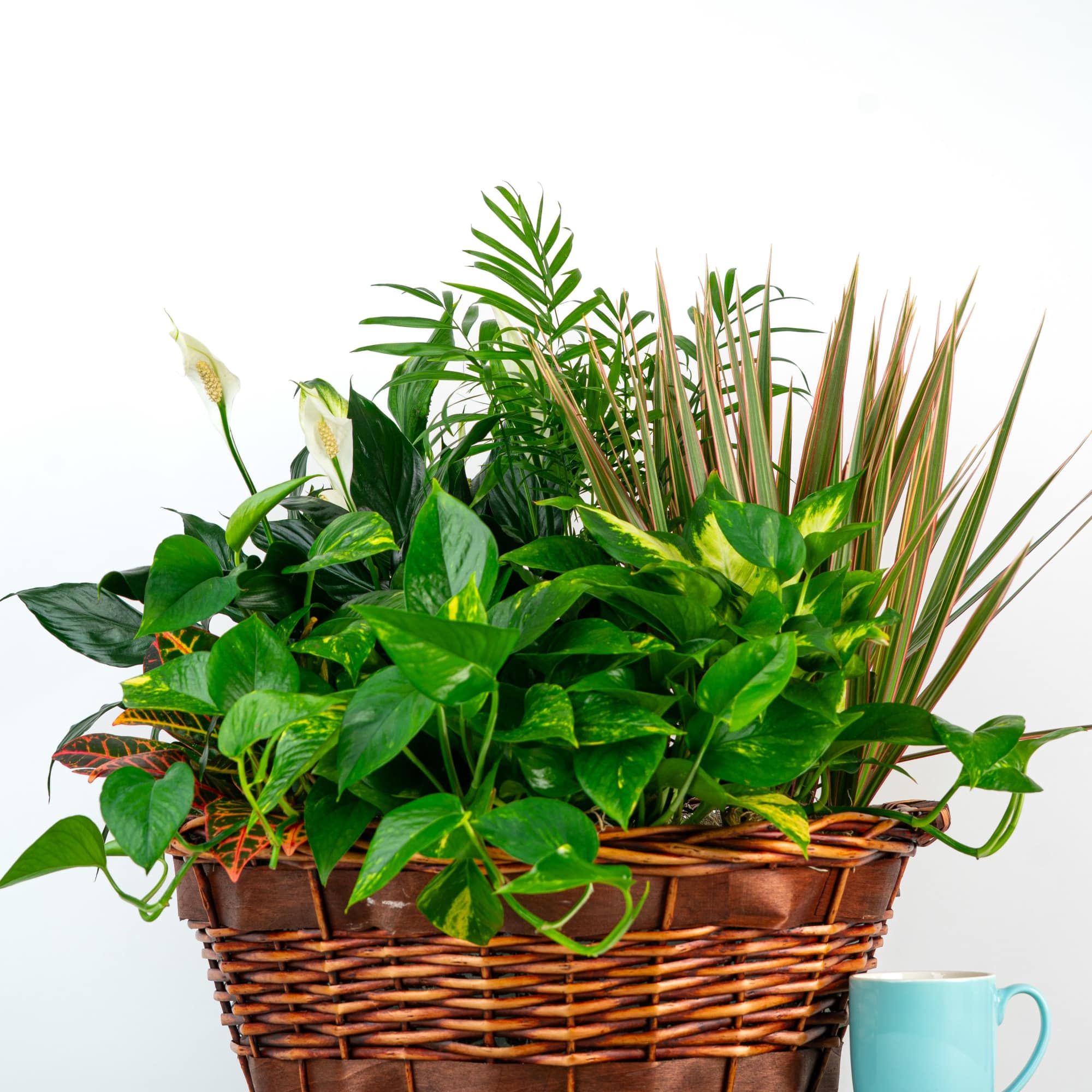 Elegantly designed with high-end greens, textures, and occasional blooms, this impressive garden