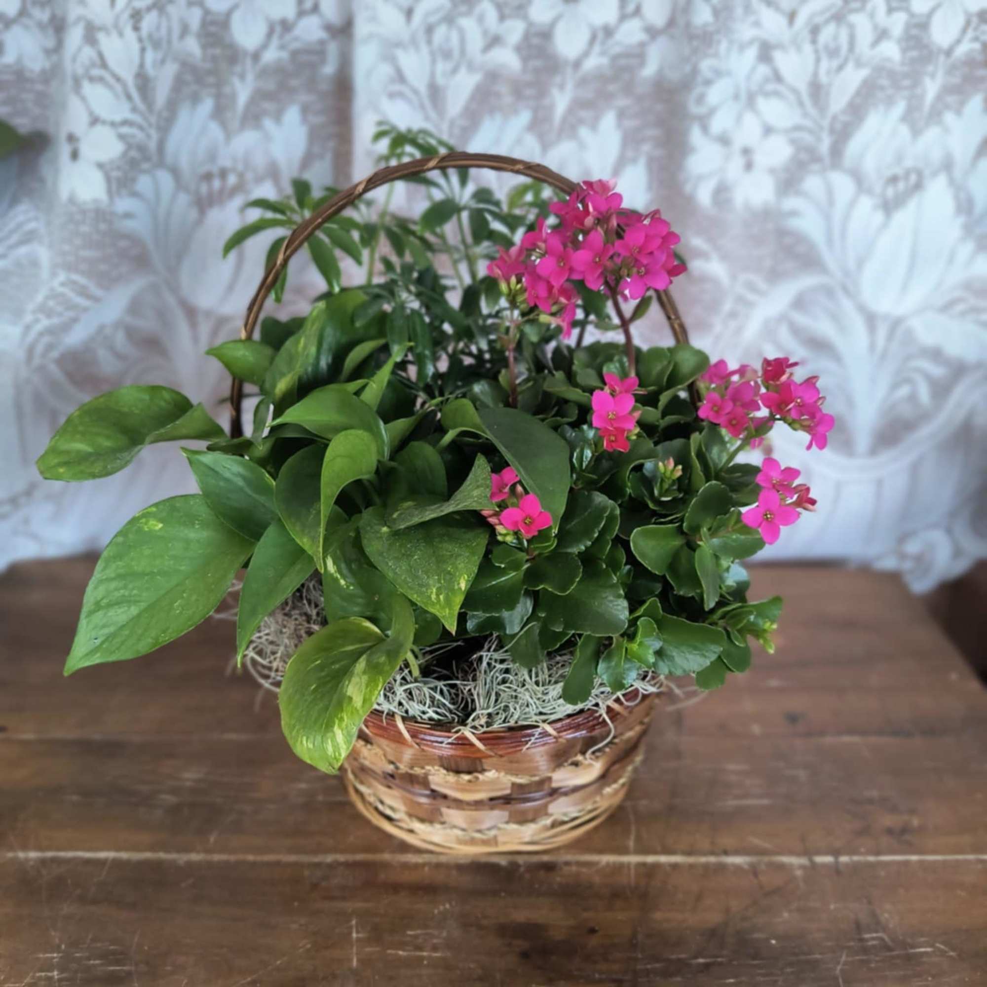 This precious basket of mixed plants will bring joy to whomever receives