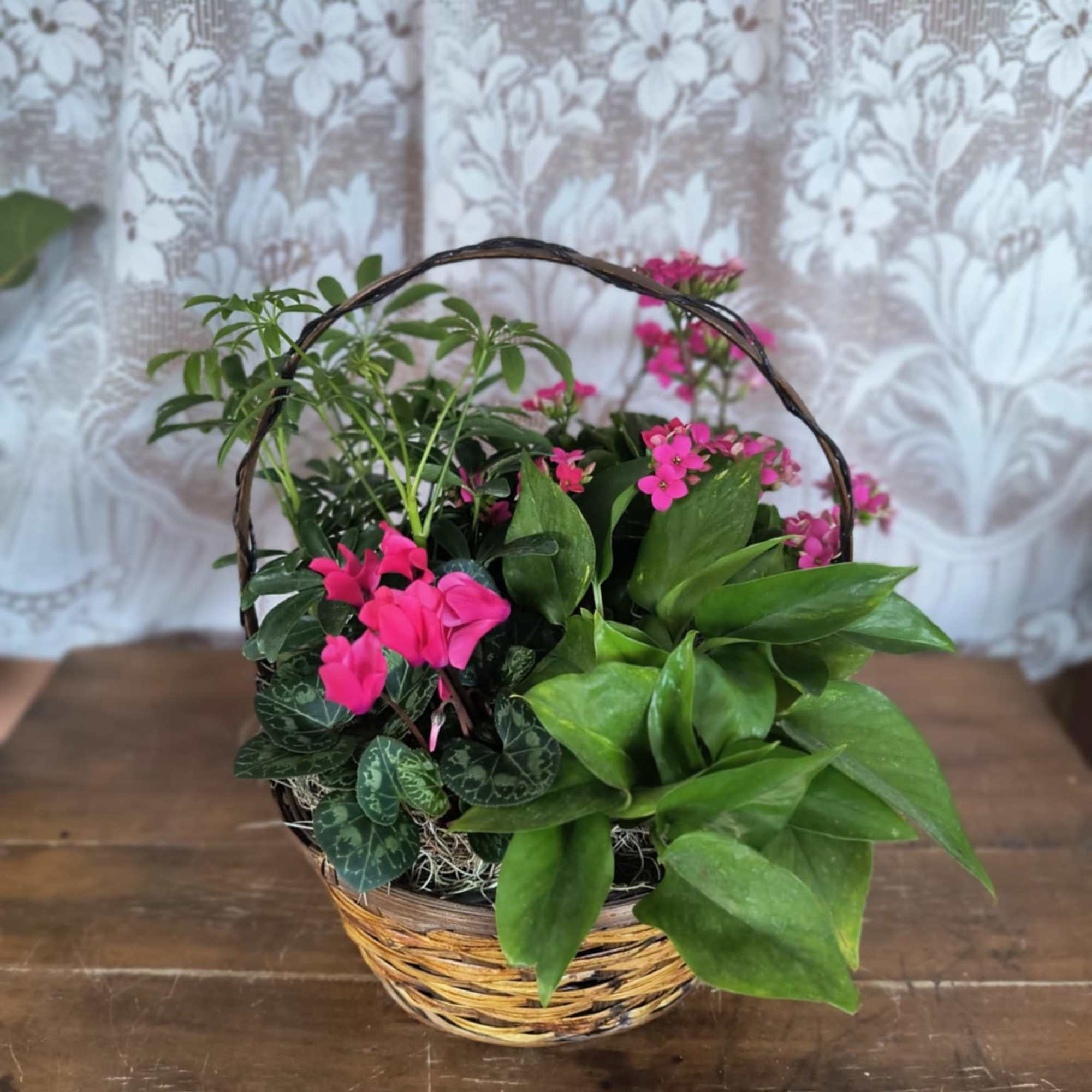 This precious basket of mixed plants will bring joy to whomever receives