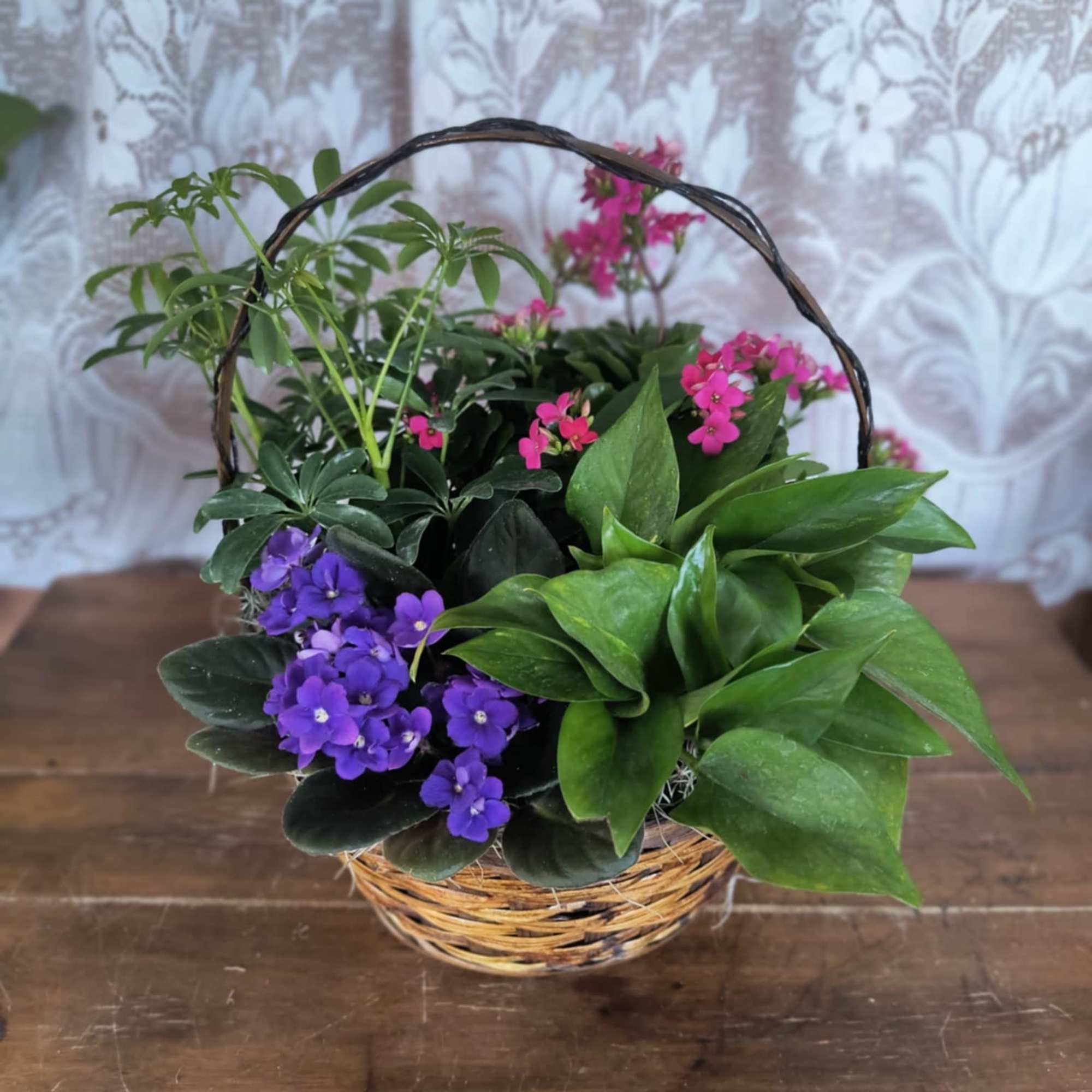 This precious basket of mixed plants will bring joy to whomever receives