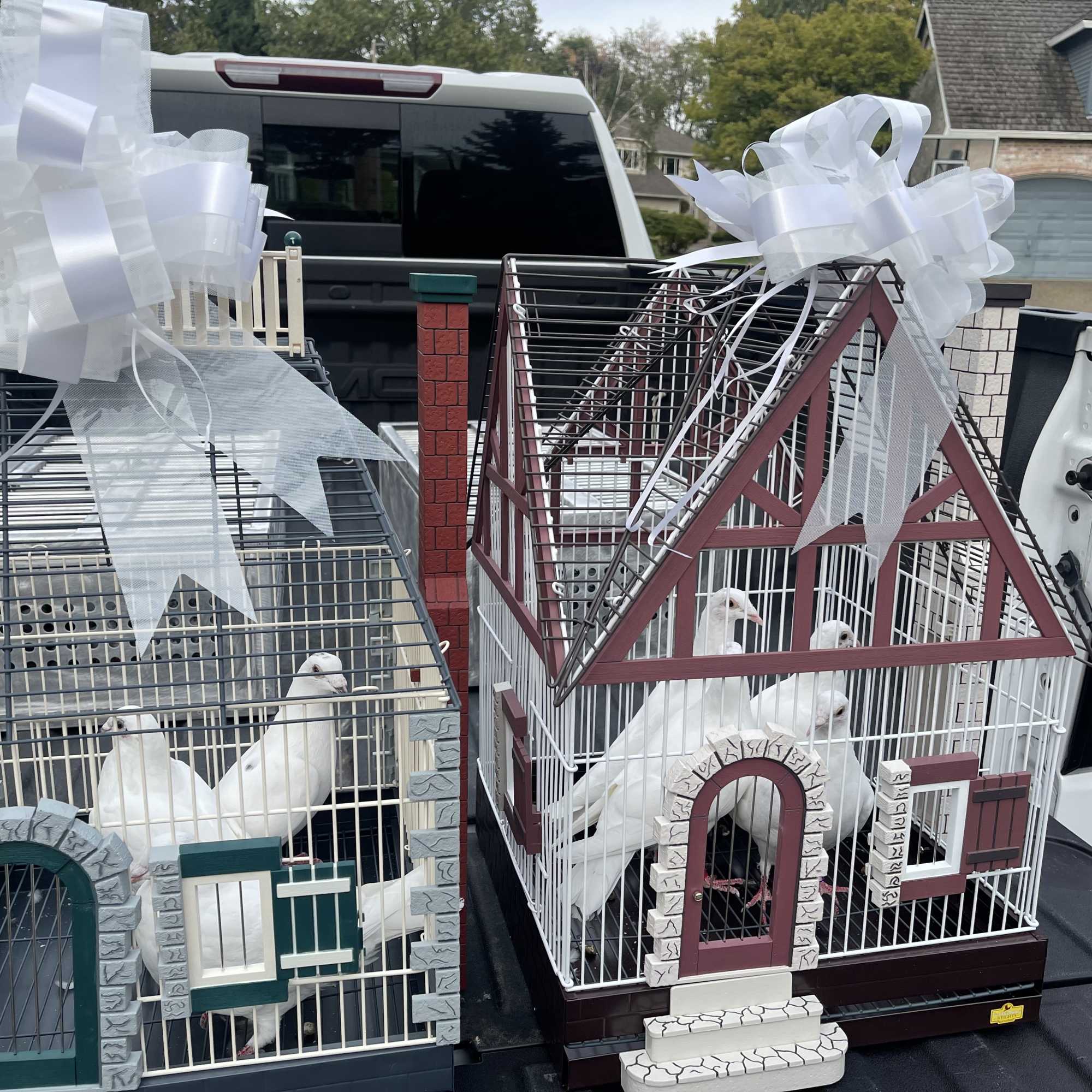  Create a meaningful and unforgettable moment with our DOVE RELEASE CEREMONY