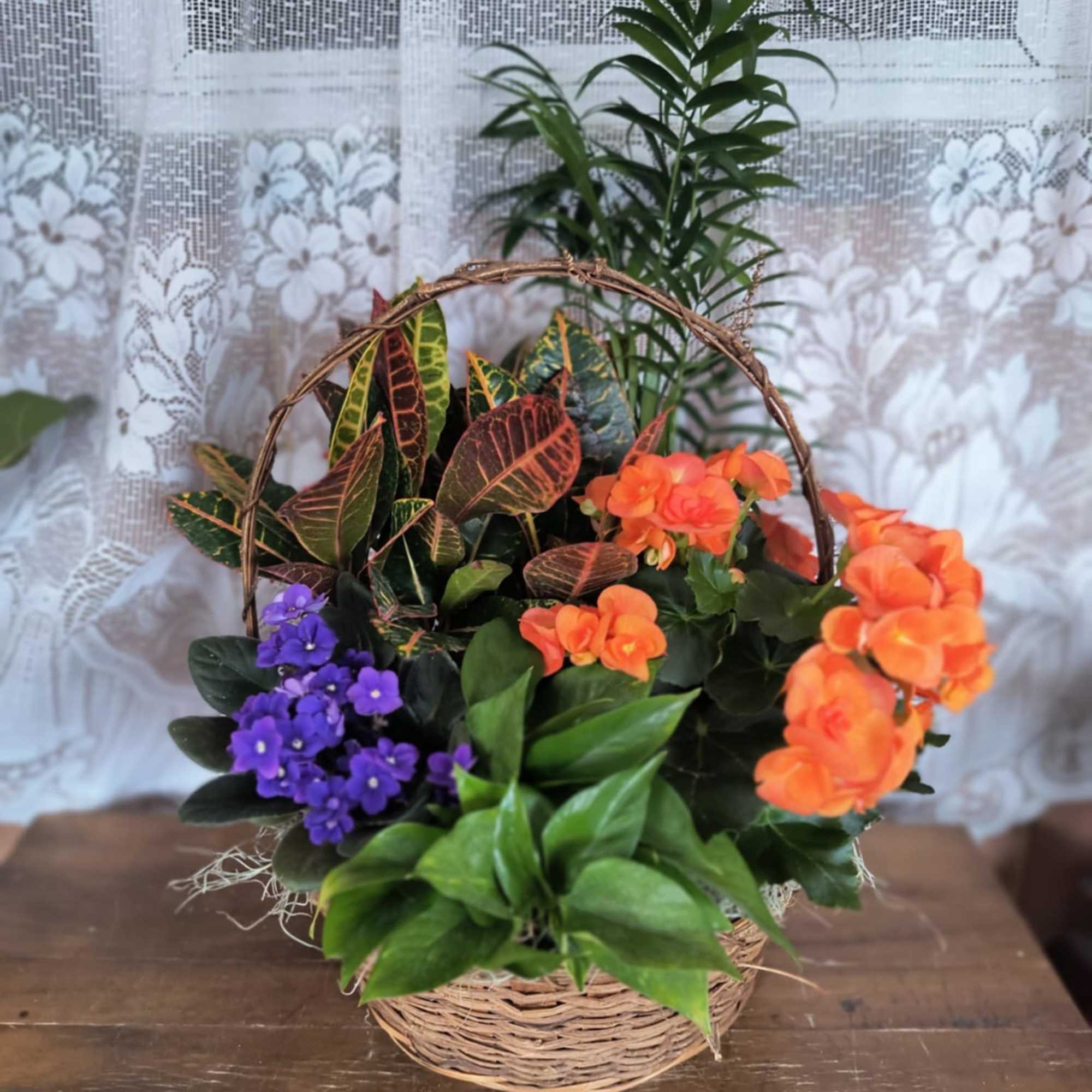 This lovely mix of live green and blooming plants will warm up