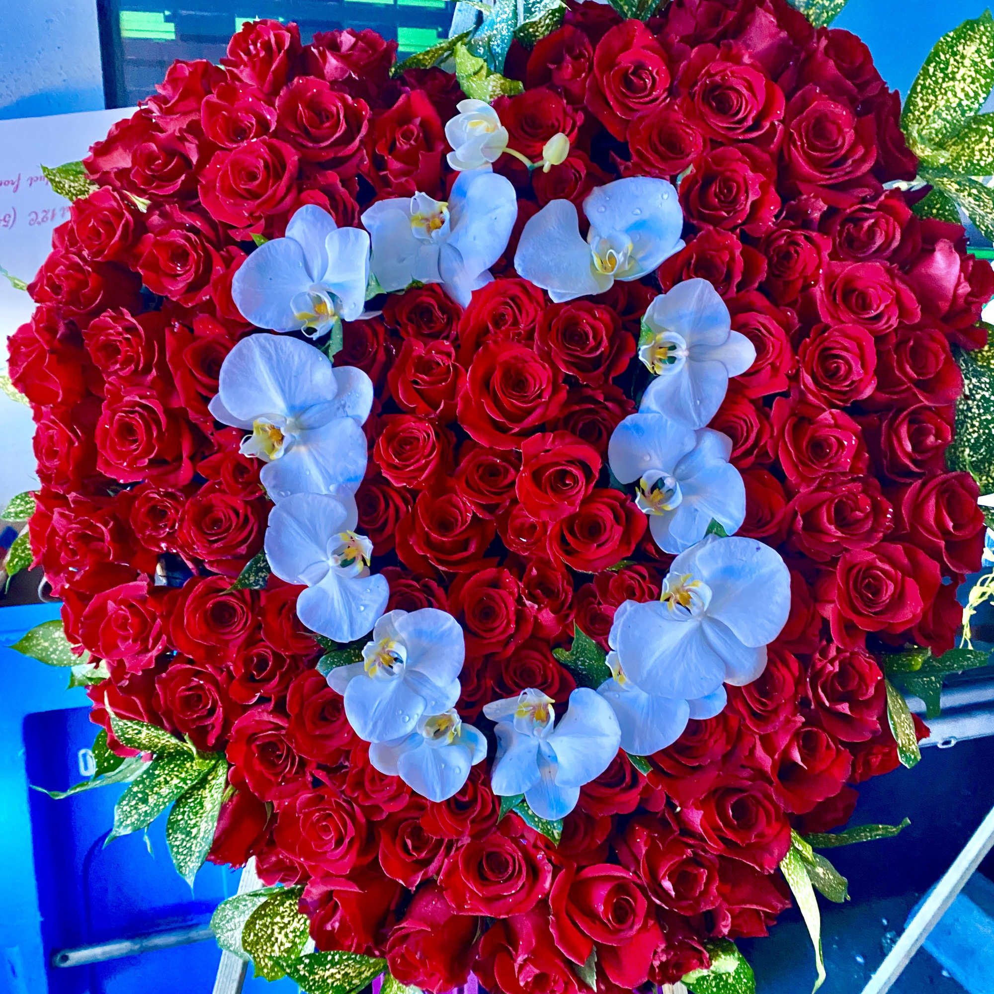 Large size hard with red roses