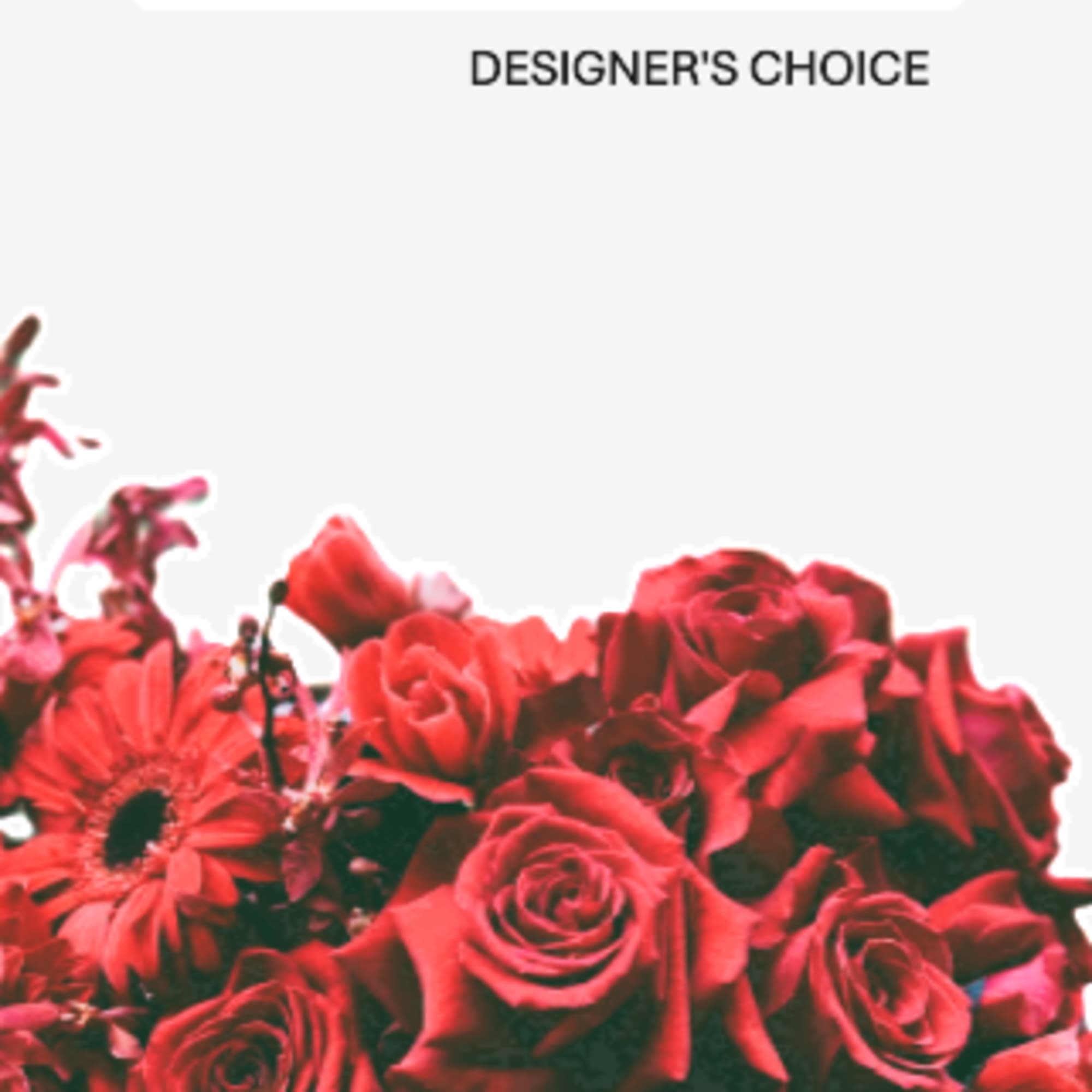 Our designers will create a beautiful arrangement with the most magnificent blooms