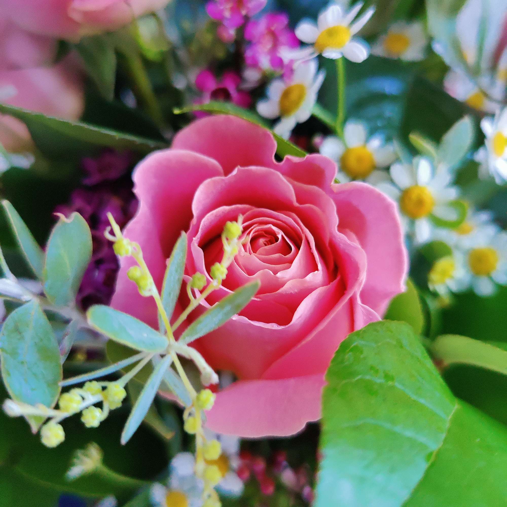 Beautiful fresh seasonal rose arrangement decorated with Hermosa roses, seasonal filler flowers