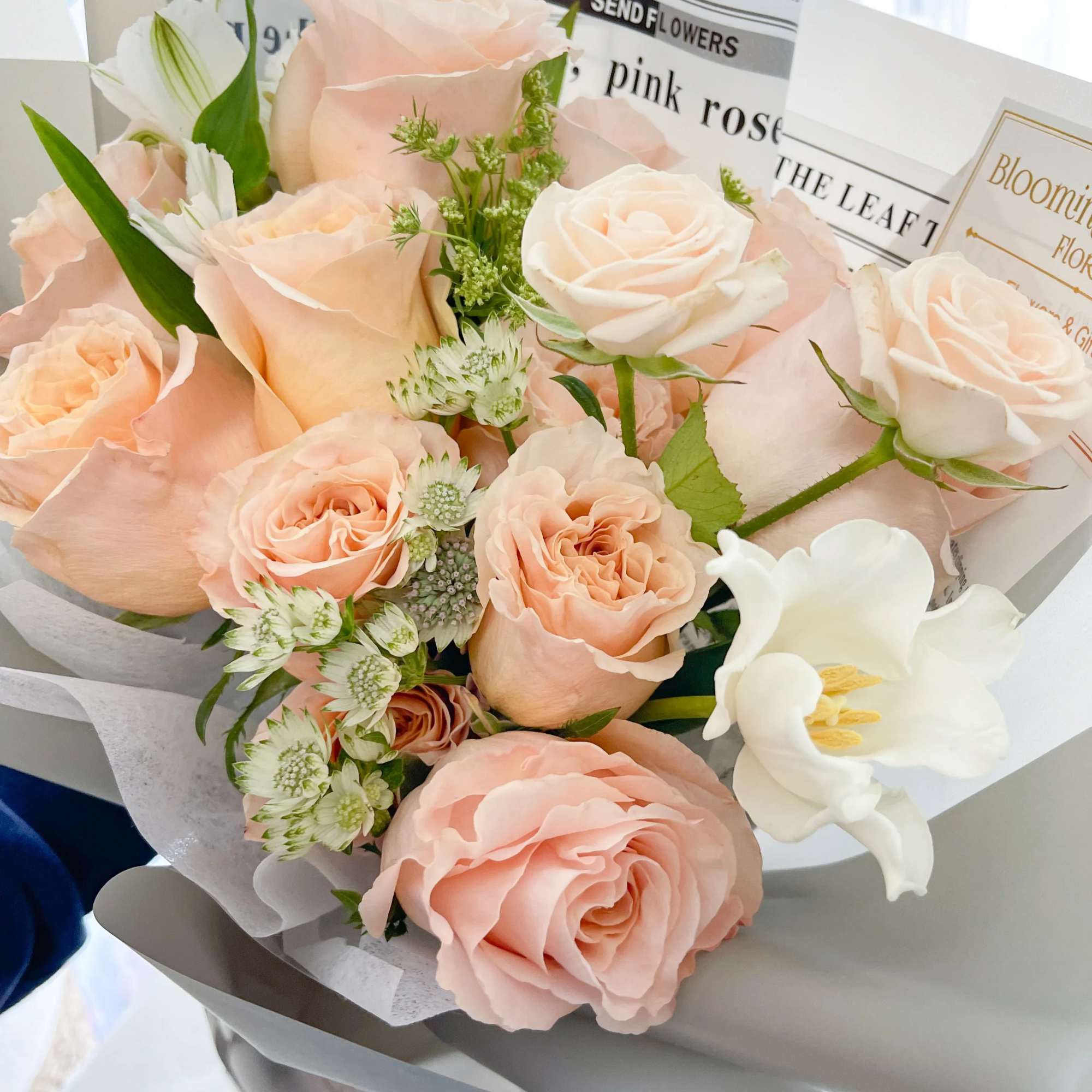 Pink peach rose with seasonal florist pick white flowers wrapped with light