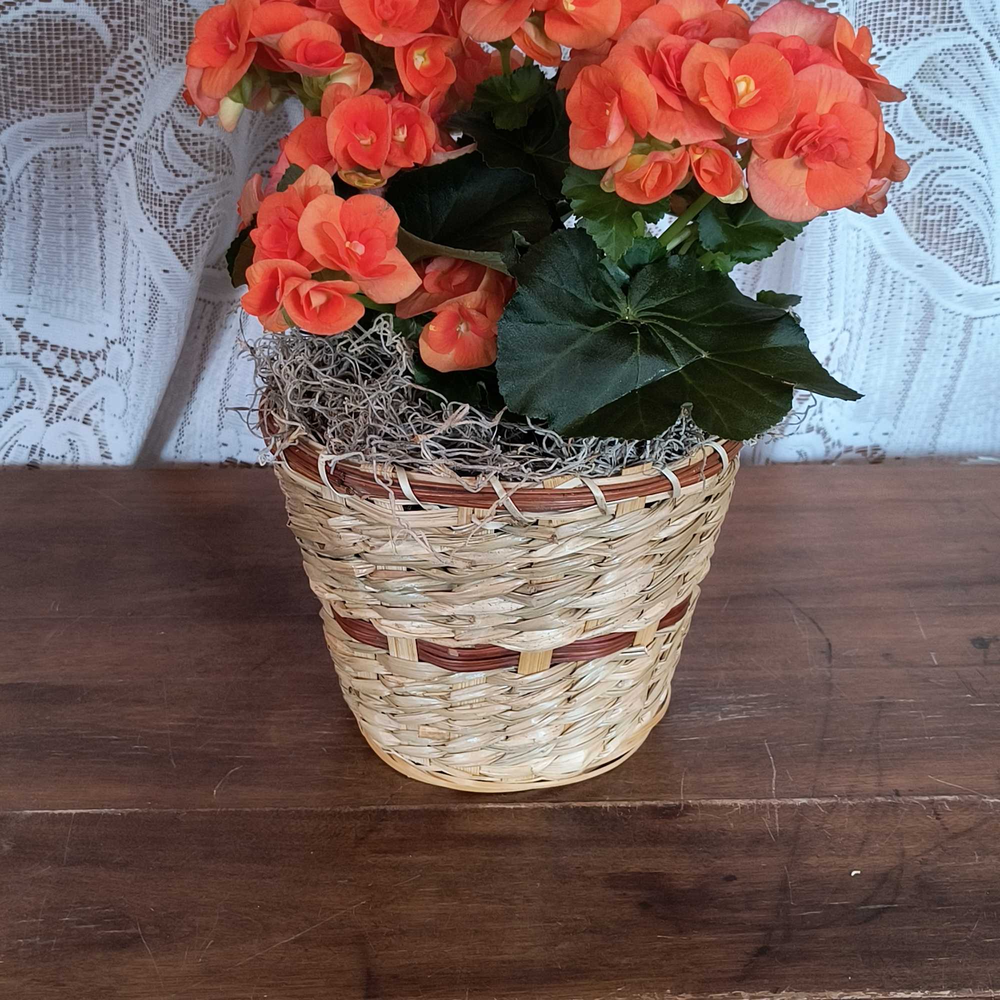 This beautiful blooming plant is full of blossoms arranged in a wicker