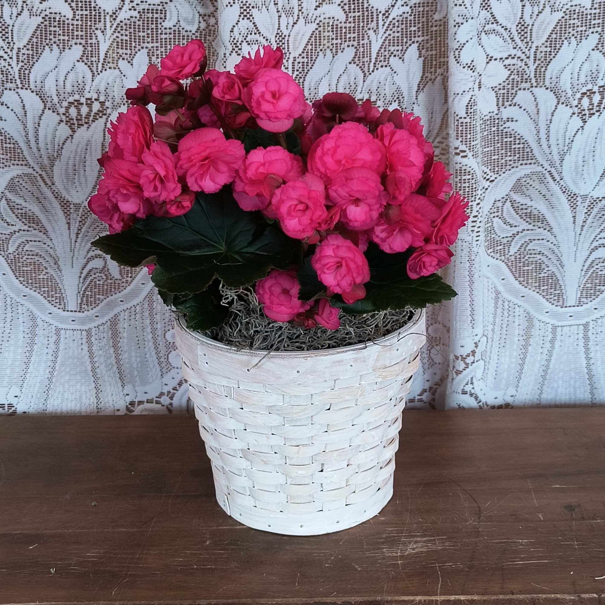 This beautiful blooming plant is full of blossoms arranged in a wicker