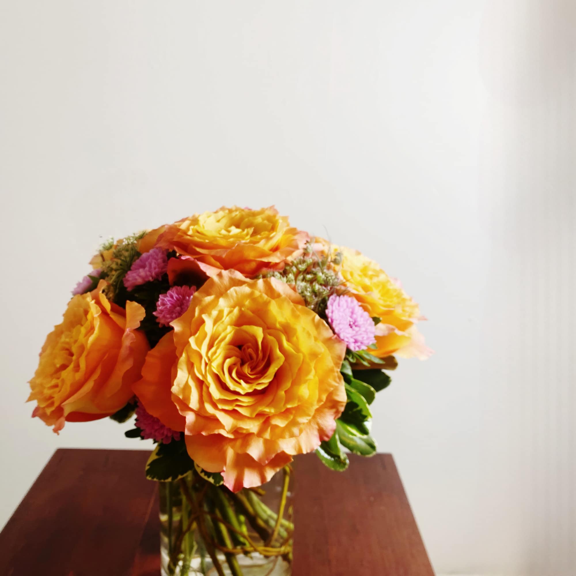 These are our favorite roses we keep in stock for several reasons.