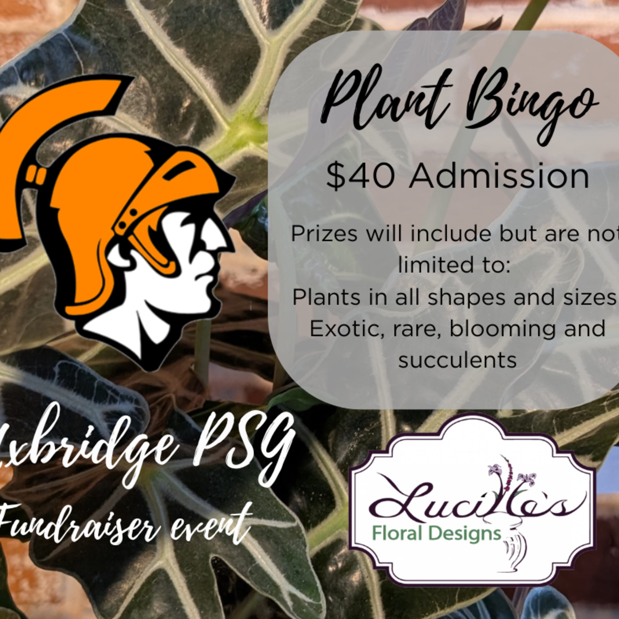 Join us for a night of fun and prizes 3/12 at 6PM!