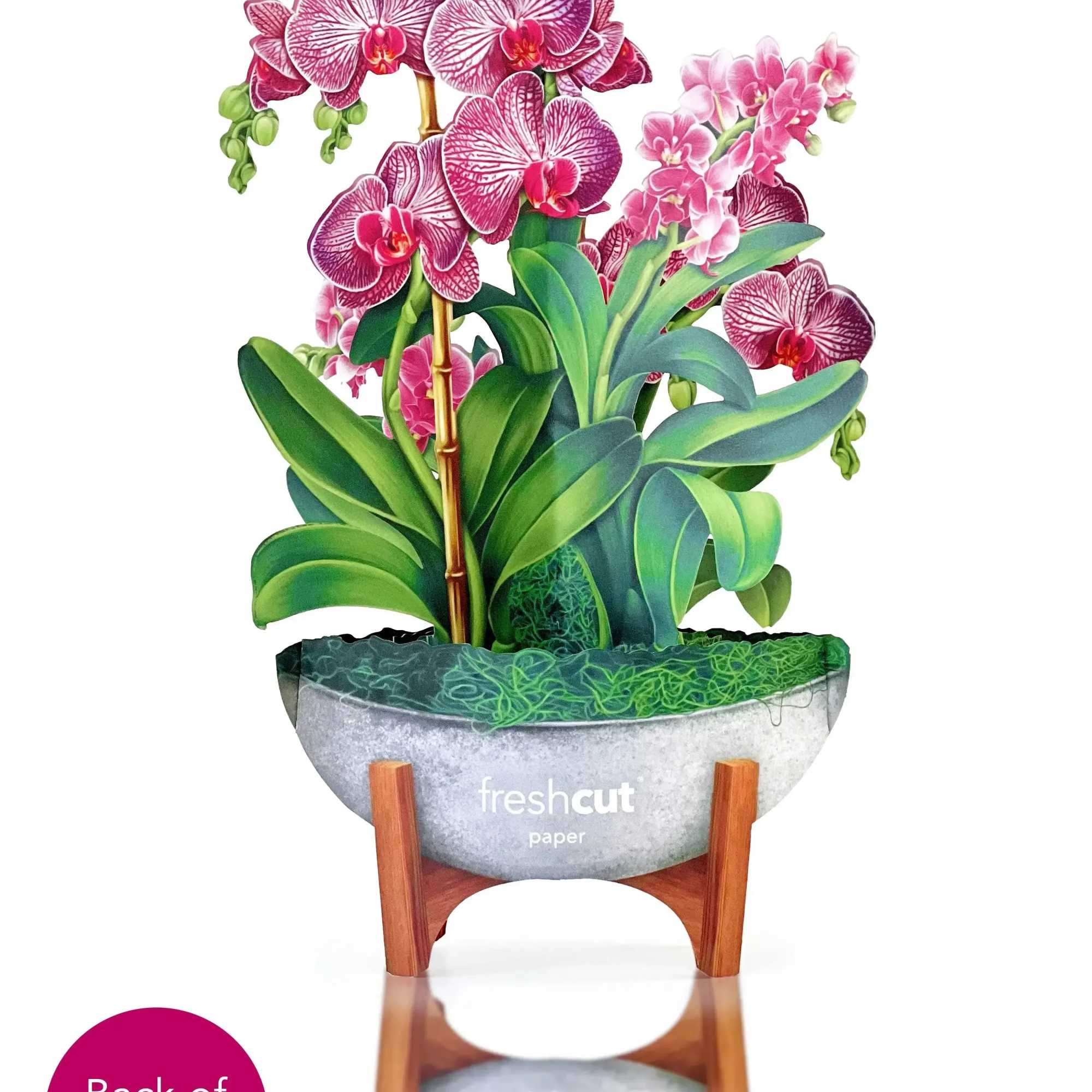 Inspired by a tropical getaway, these luxurious and striking orchid blooms embody