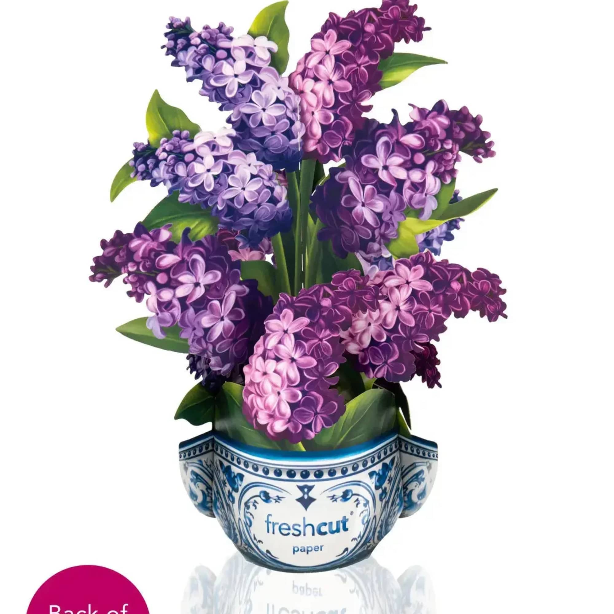 Discover the beauty of spring with our Mini Garden Lilacs pop-up bouquet.
