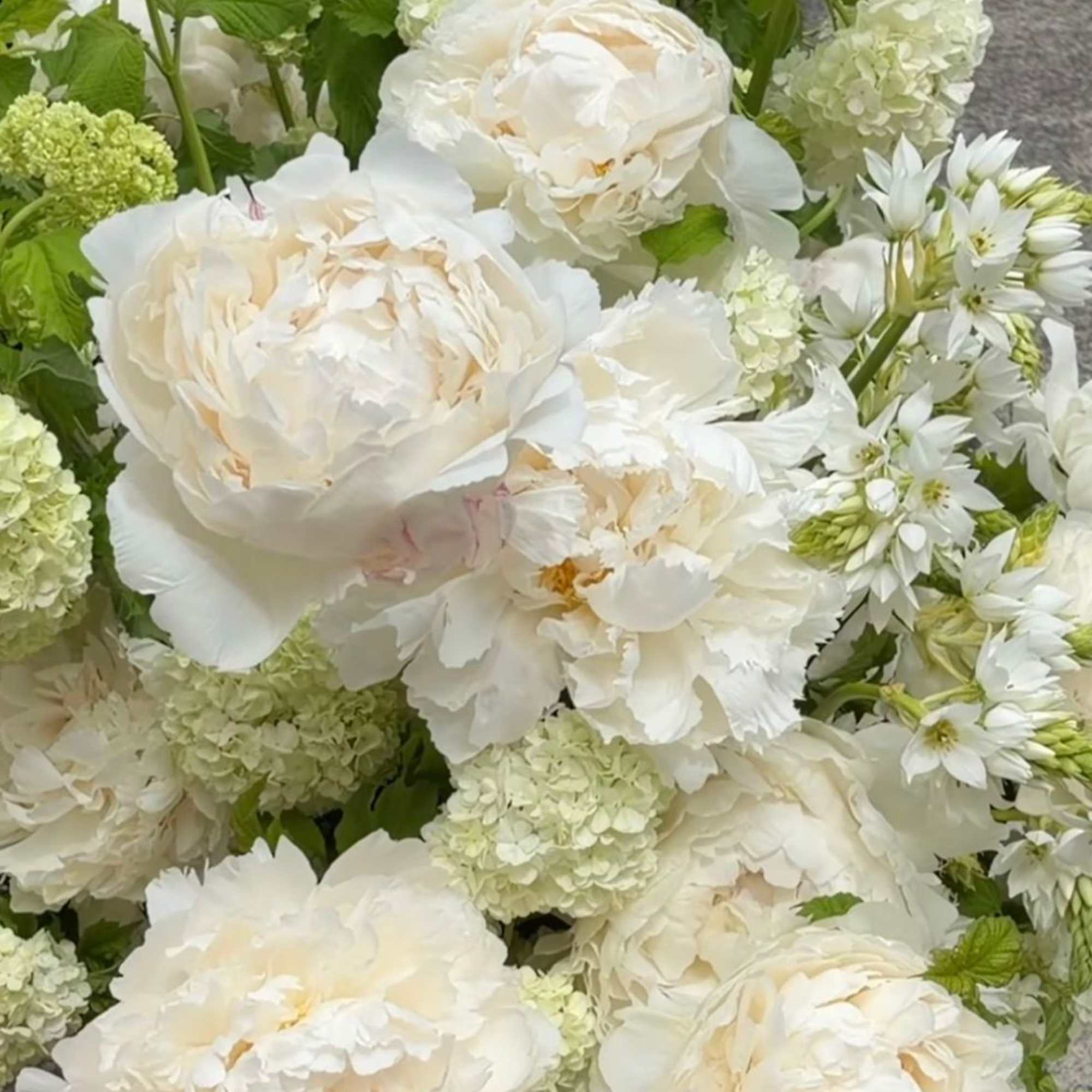 Nothing says beauty and grace better than a white floral arrangement. White