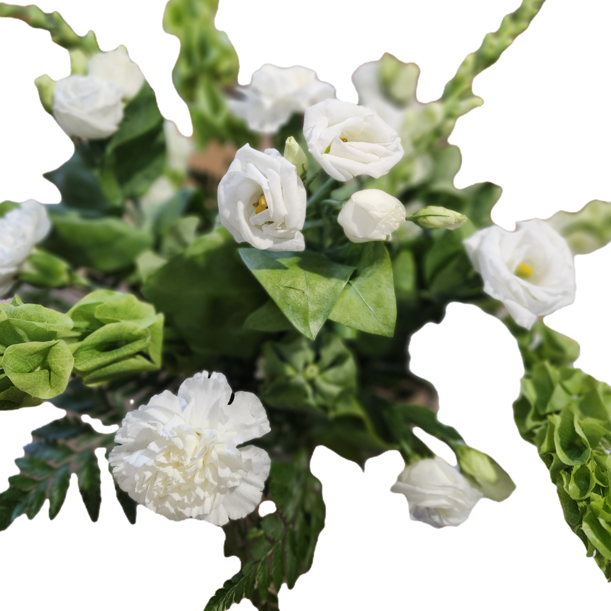 Beautiful white blossoms and shining greenery glow in this expertly crafted arrangement