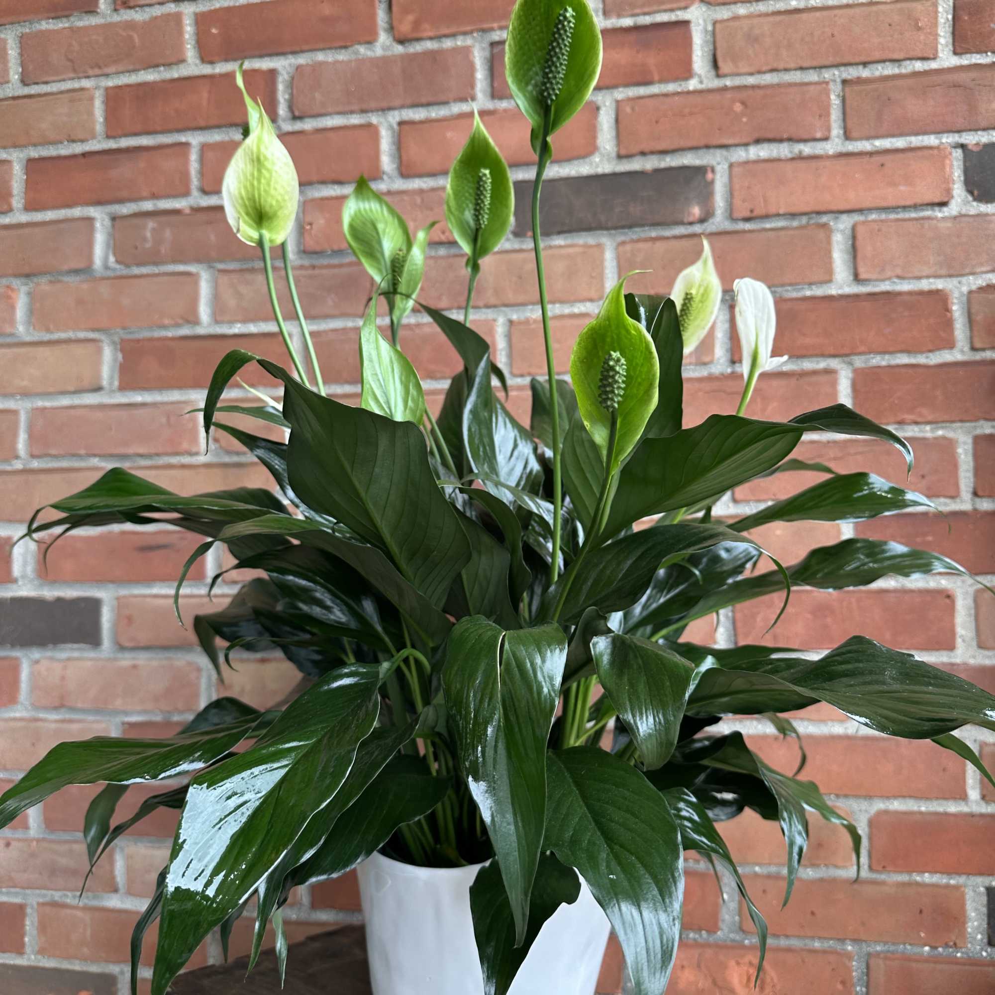 A little touch of love in a very elegant vase 