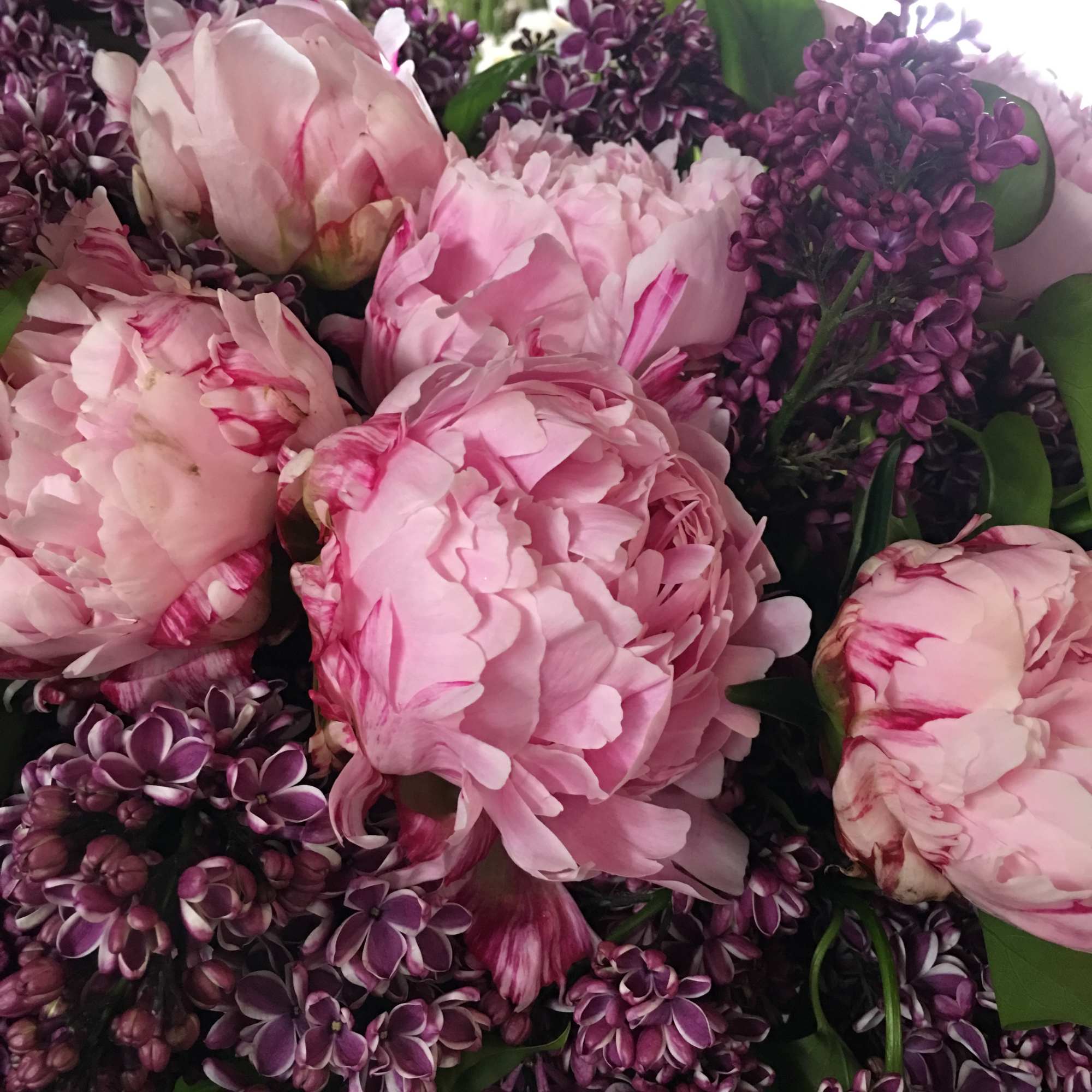 As grand and sweet as a Mother's love. This is an arrangement