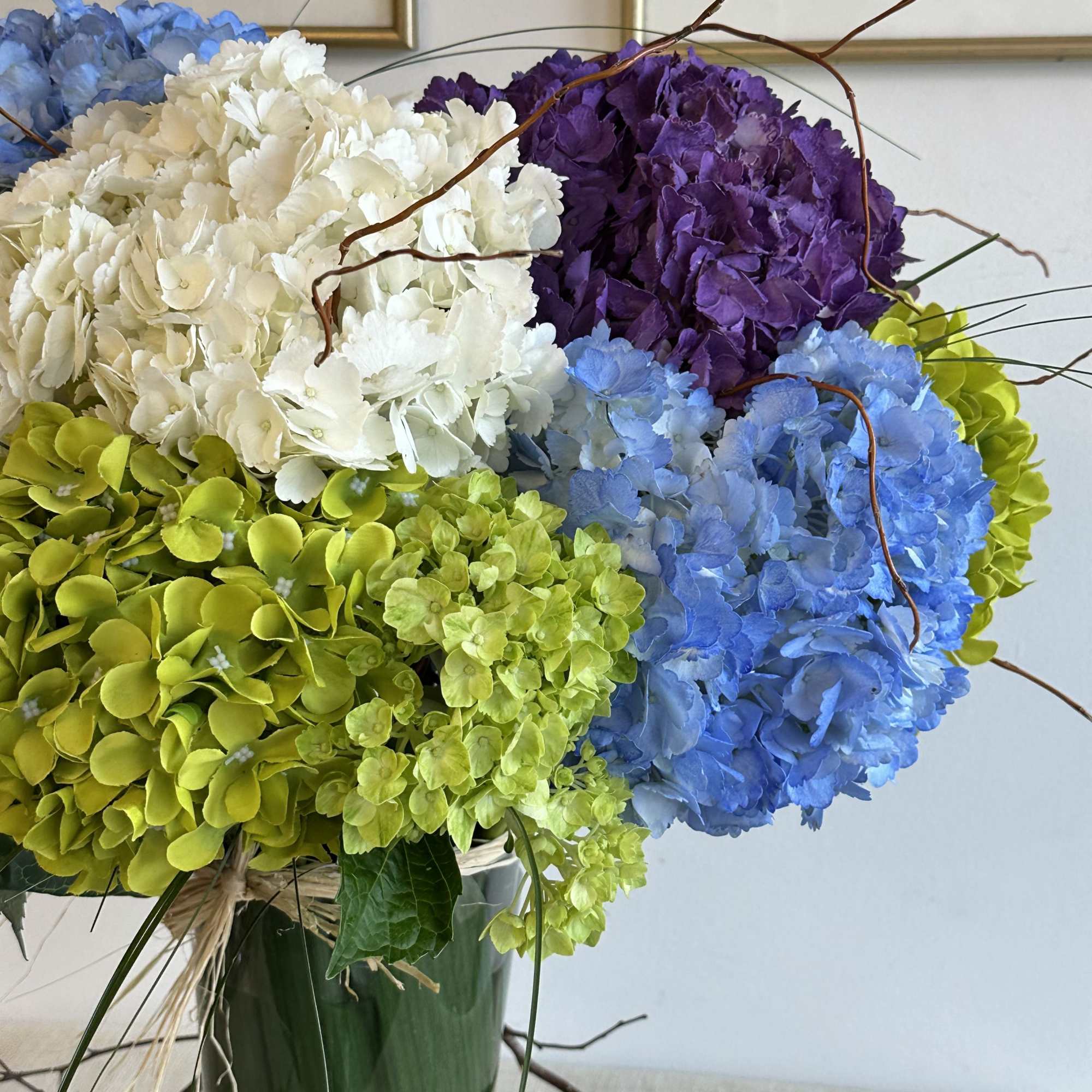 A small combination of colors in hydrangea with mini green and a