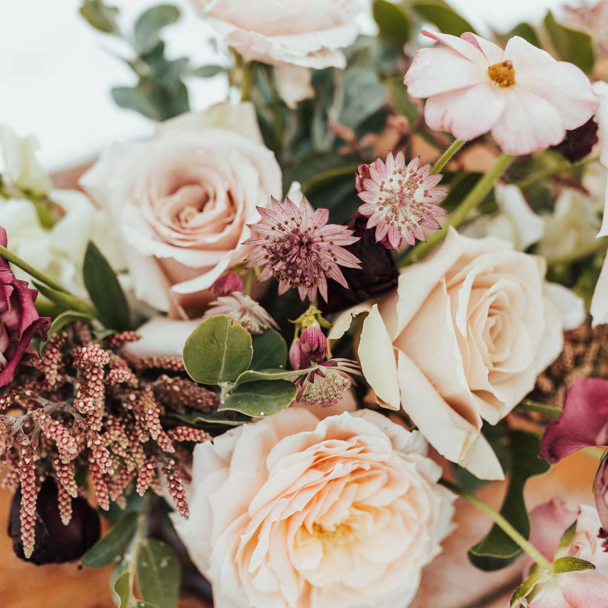 So many options it is hard to choose. Let one of our