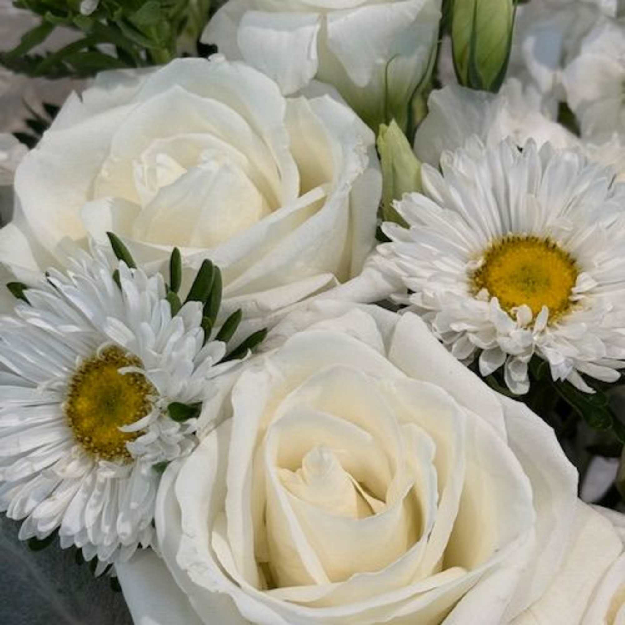 Honor your loved one with a beautiful white arrangement. Roses, lisianthus, matsumoto