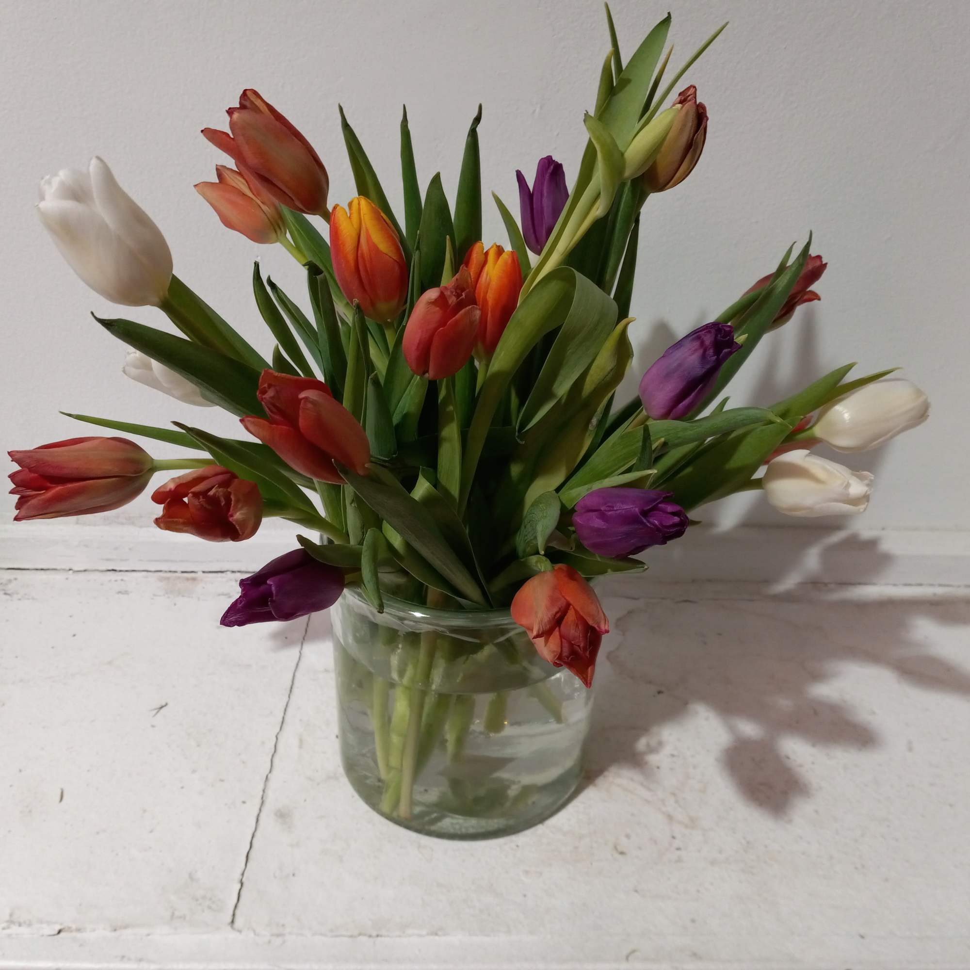 Premium assorted tulips in a  vase with confetti ribbon 