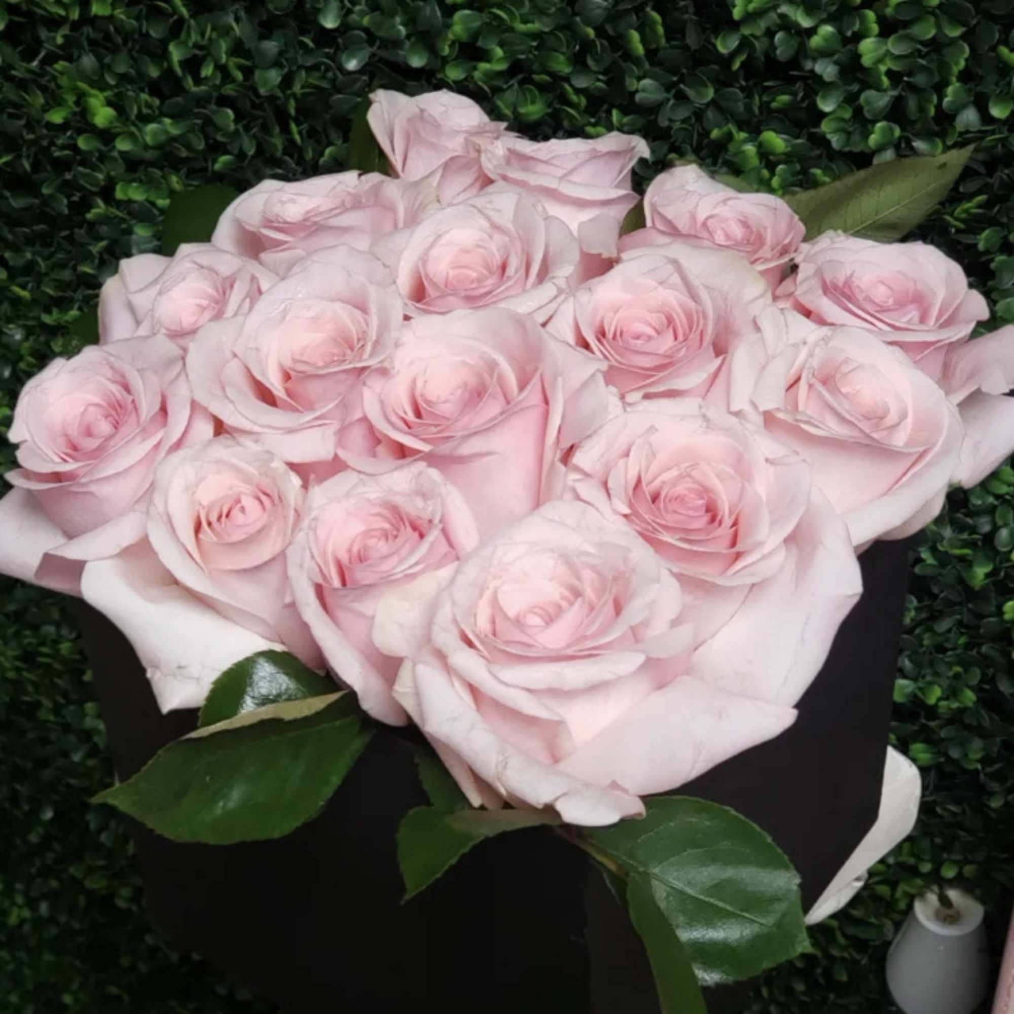 12 (standard) or 24 Deluxe  Pink Roses placed in a decorative