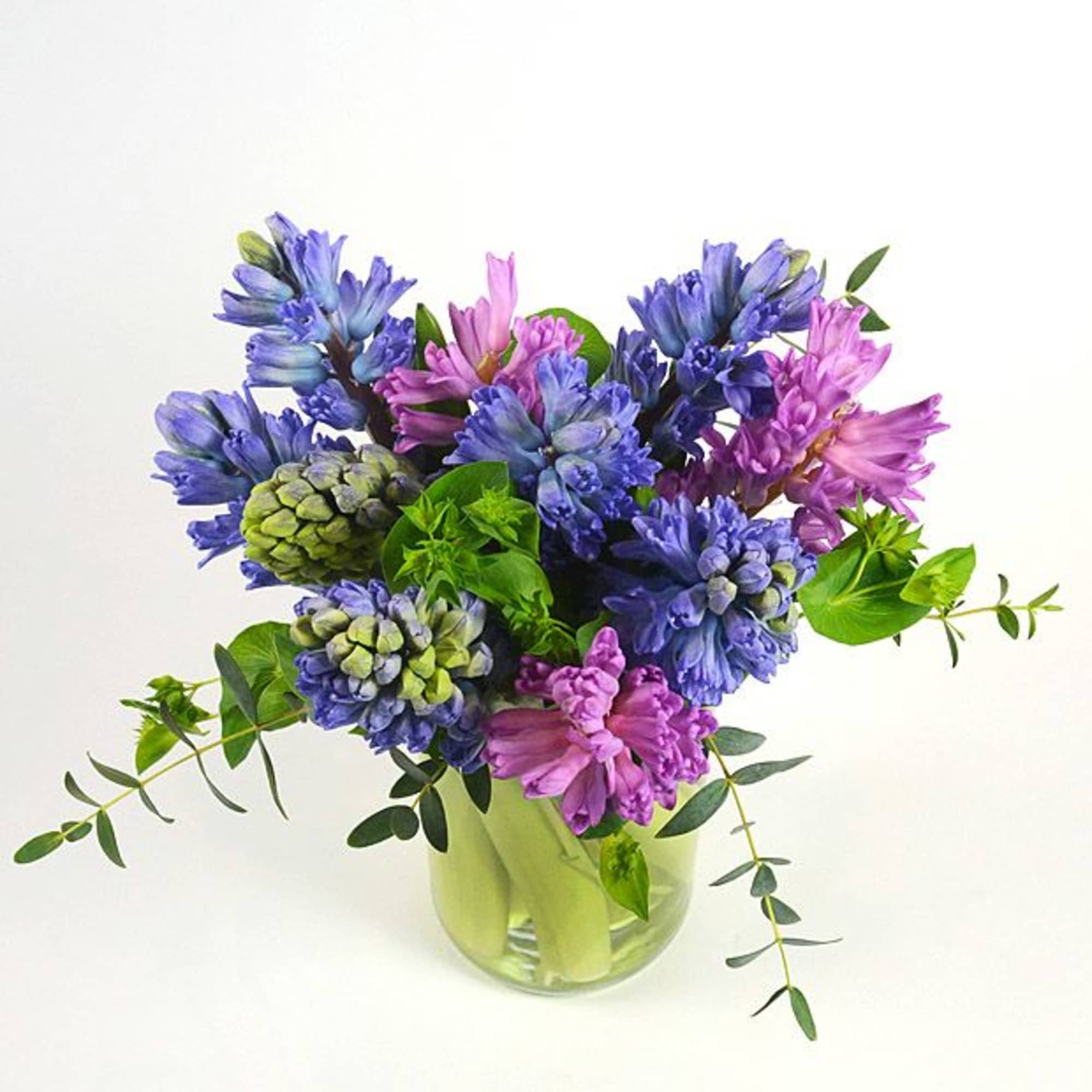 The elegant Dutch hyacinth is under appreciated. They are colorful, have a