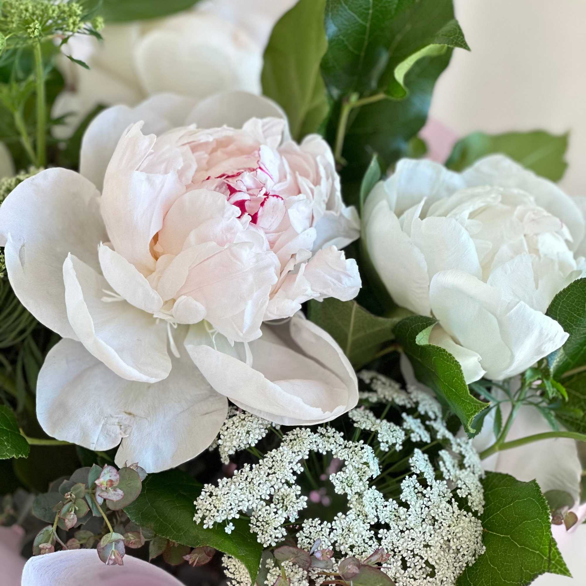 A round bouquet of lt. pink peonies with plenty of greenery and