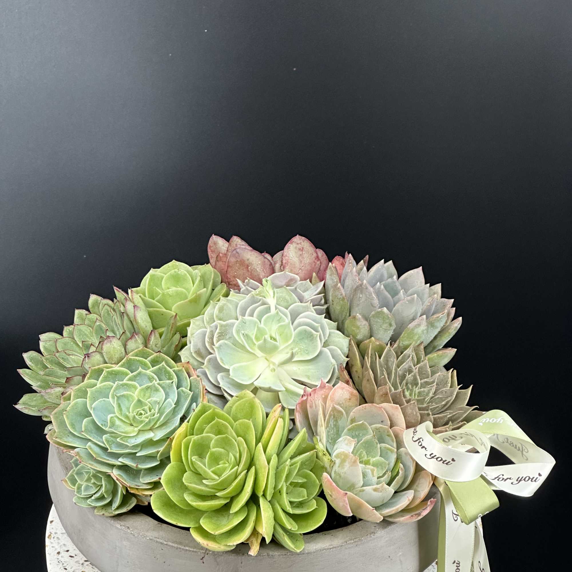 A modern botanical sculpture featuring layered succulent in soft ,organic tones .Designed