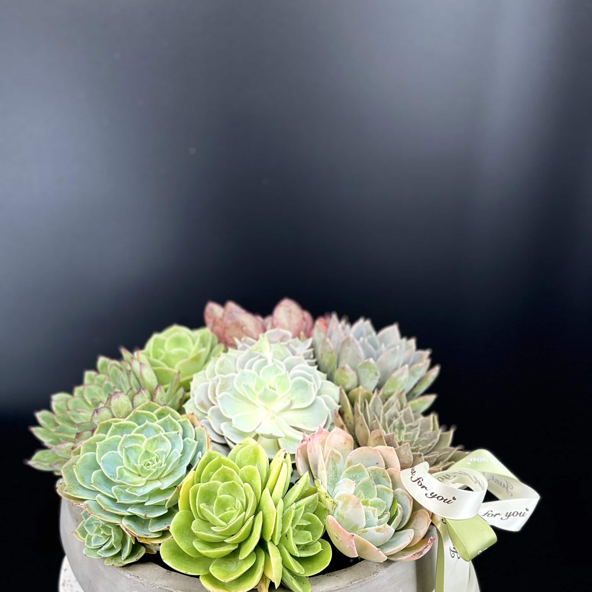 A modern botanical sculpture featuring layered succulent in soft ,organic tones .Designed