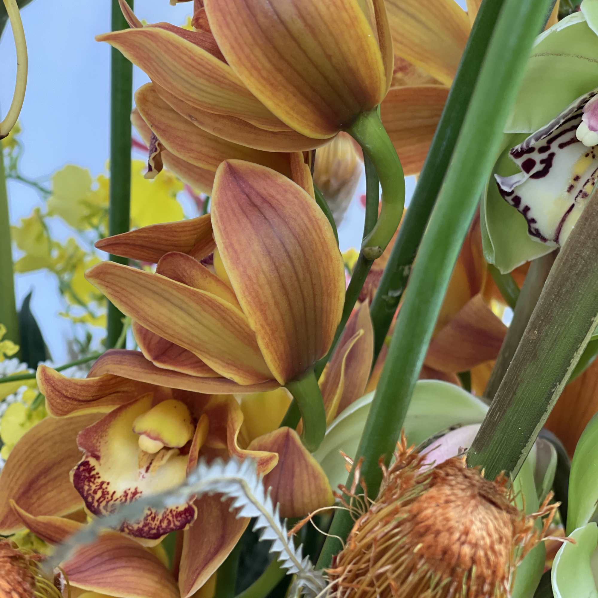 A luxury floral arrangement designed to impress for any occasion or events