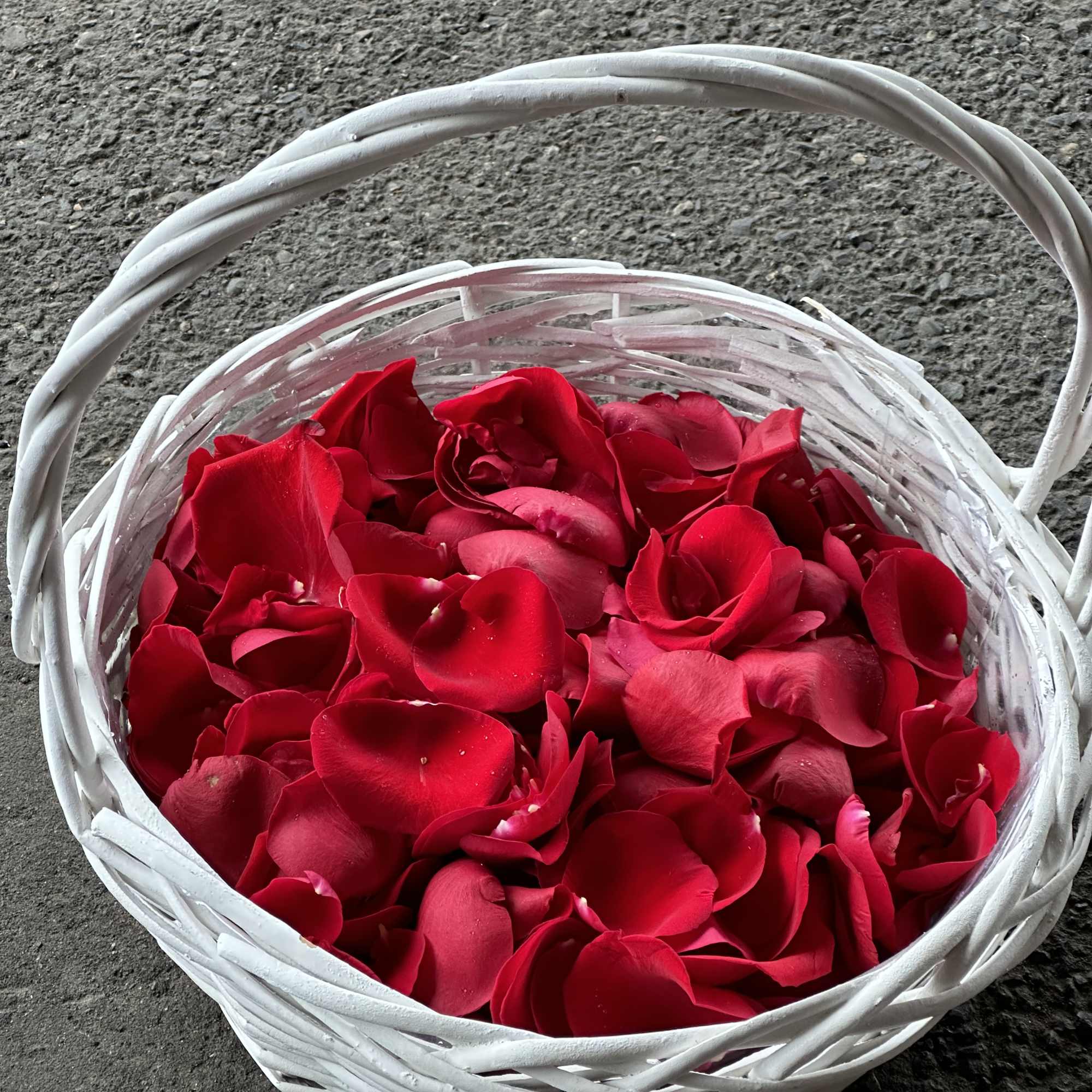 Delicate .richly colored roses petals selected for their velvety texture and deep