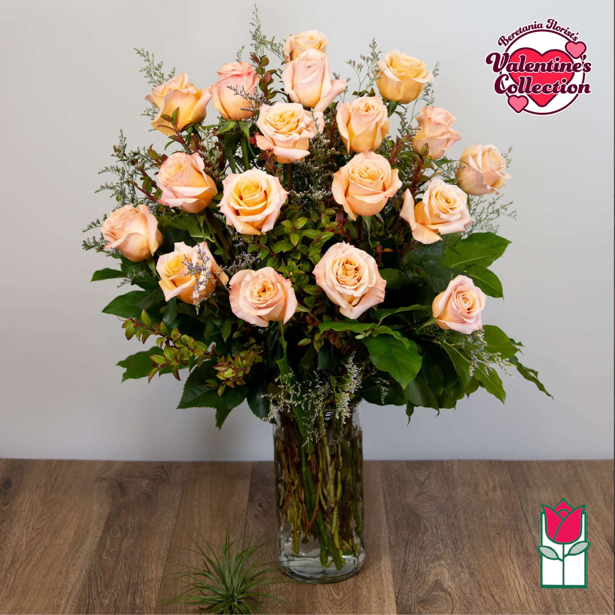 1 Dozen Premium Long Stem Peach Roses

The Beretania Florist one dozen extra