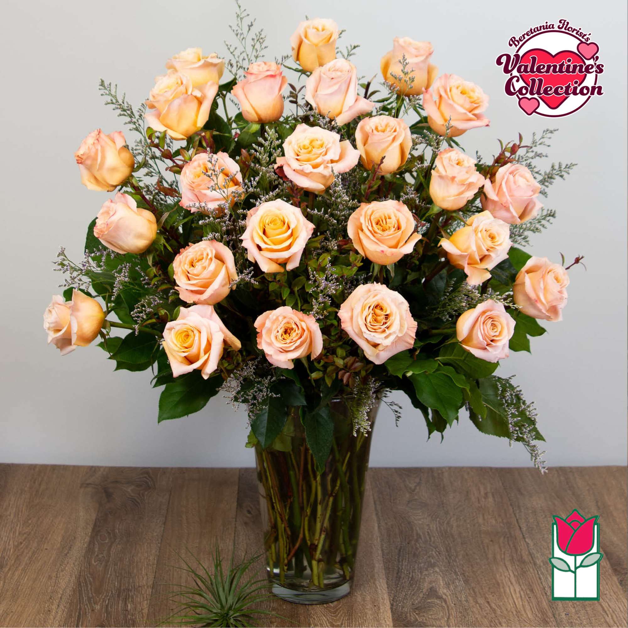 1 Dozen Premium Long Stem Peach Roses

The Beretania Florist one dozen extra