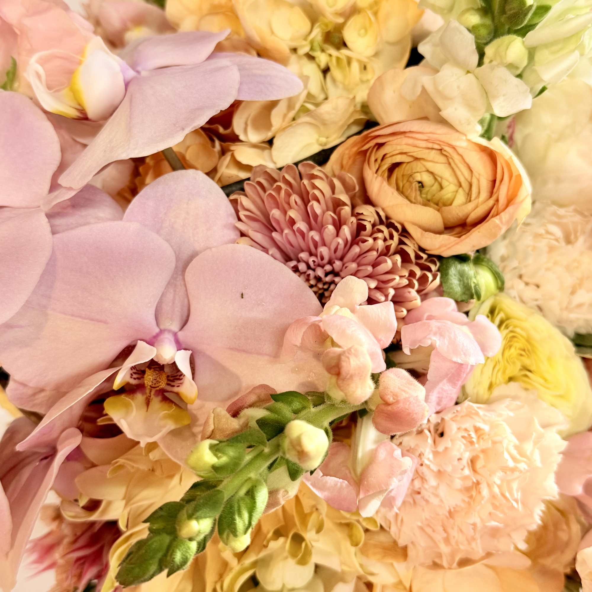 A romantic expression of love featuring soft blush orchids, peach garden roses