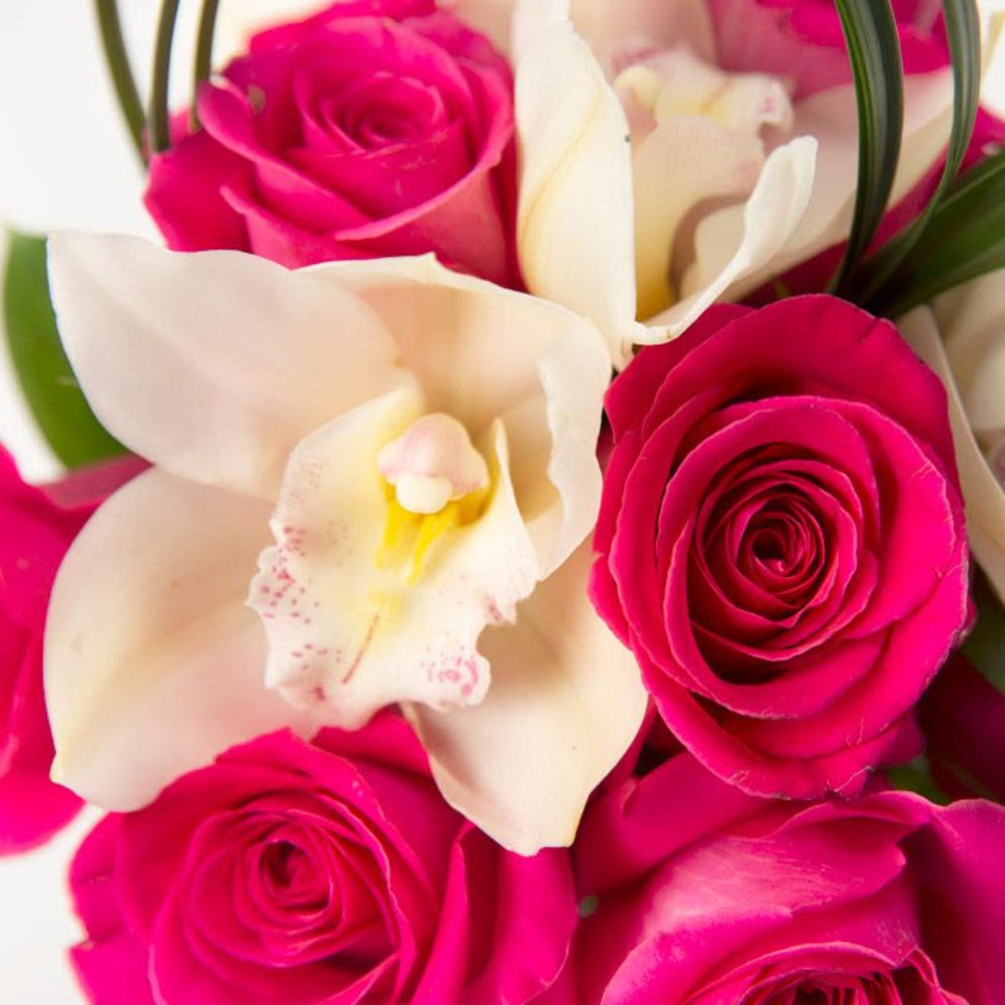 This sweet arrangement is filled with hot pink roses, white cymbidium buds