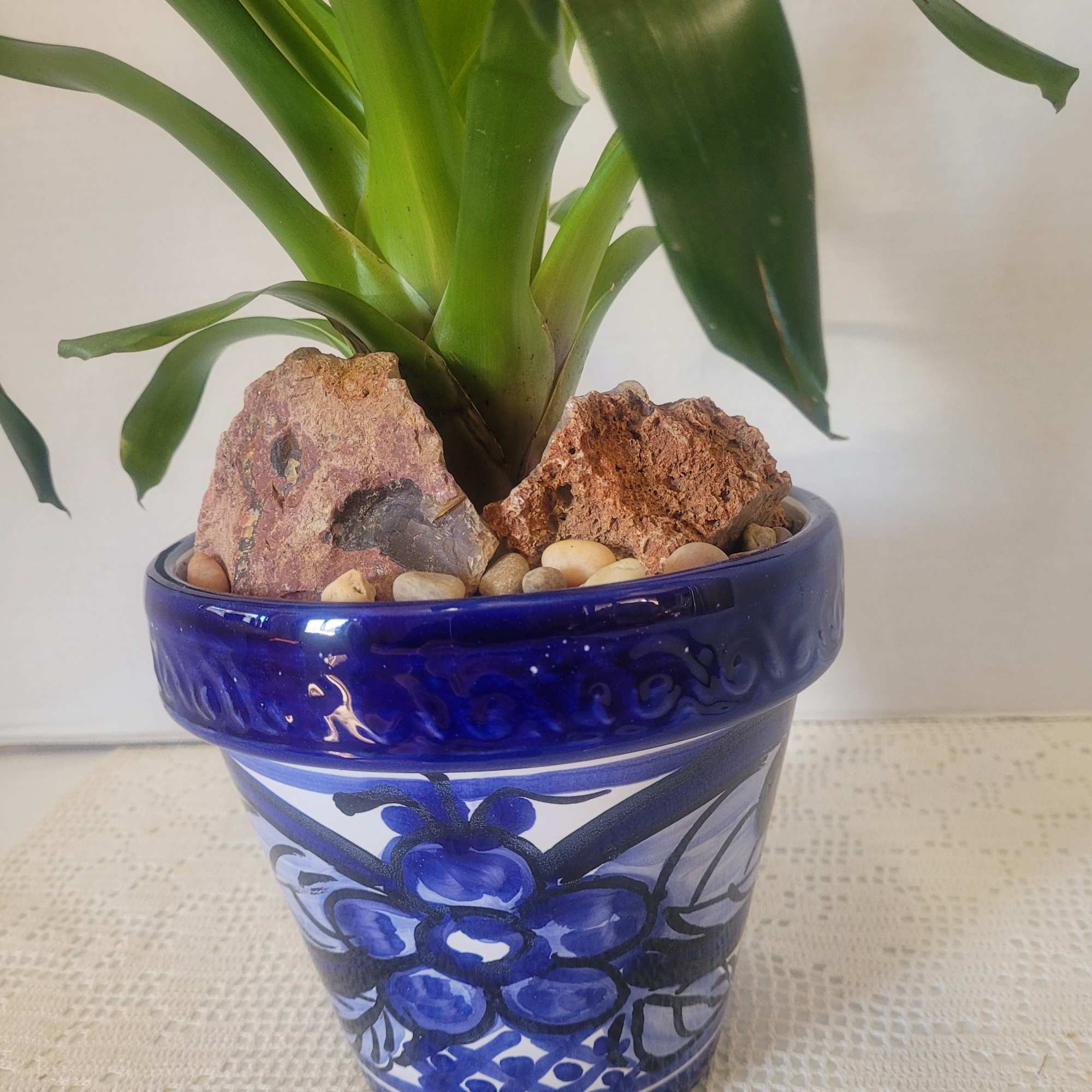 Tiger striped bloom planted in a Talavera blue and white container. Ideal