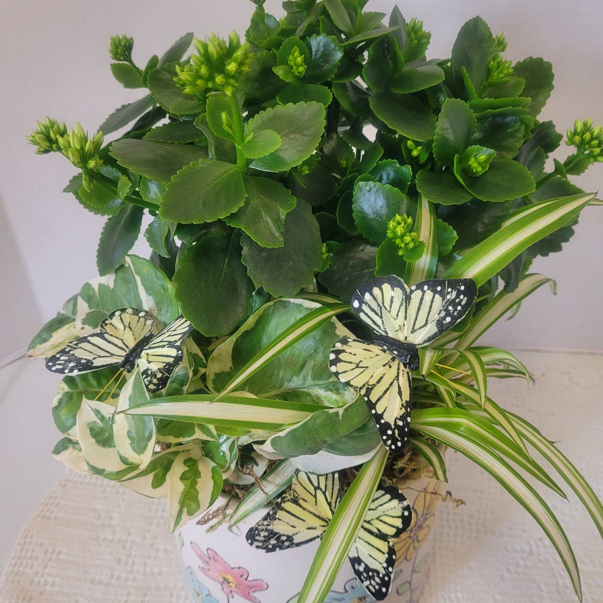 A large colorful ceramic filled with an arrangement of hardy houseplants. Faux