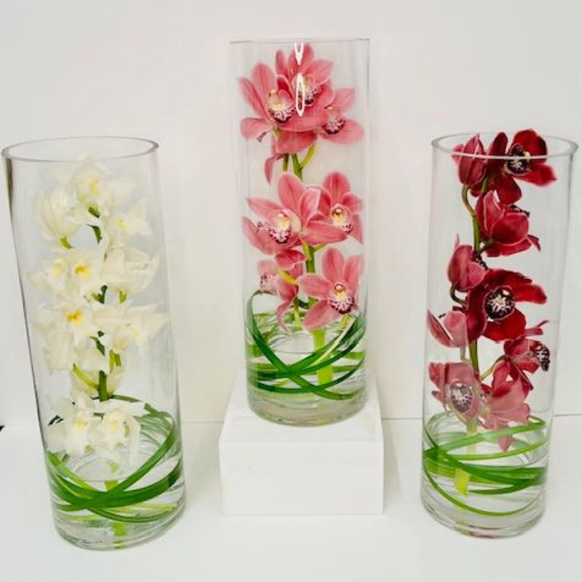 A modern and simplistic arrangement with exotic green cymbidium orchids in a